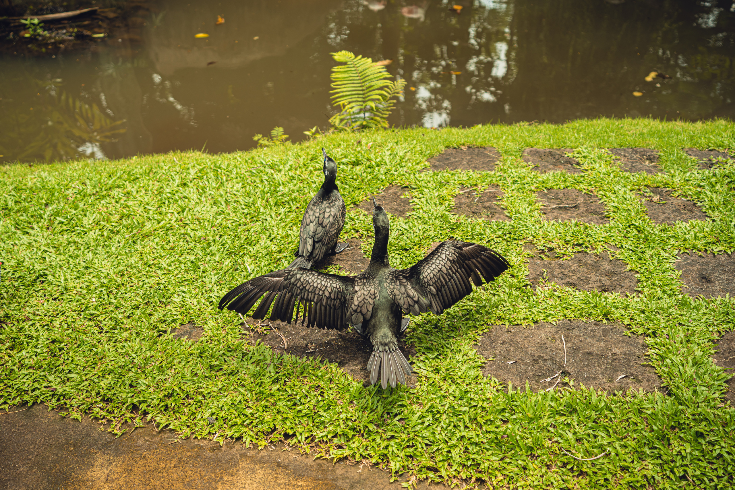 Бали. Фотографирую для себя, своей семьи и друзей!
