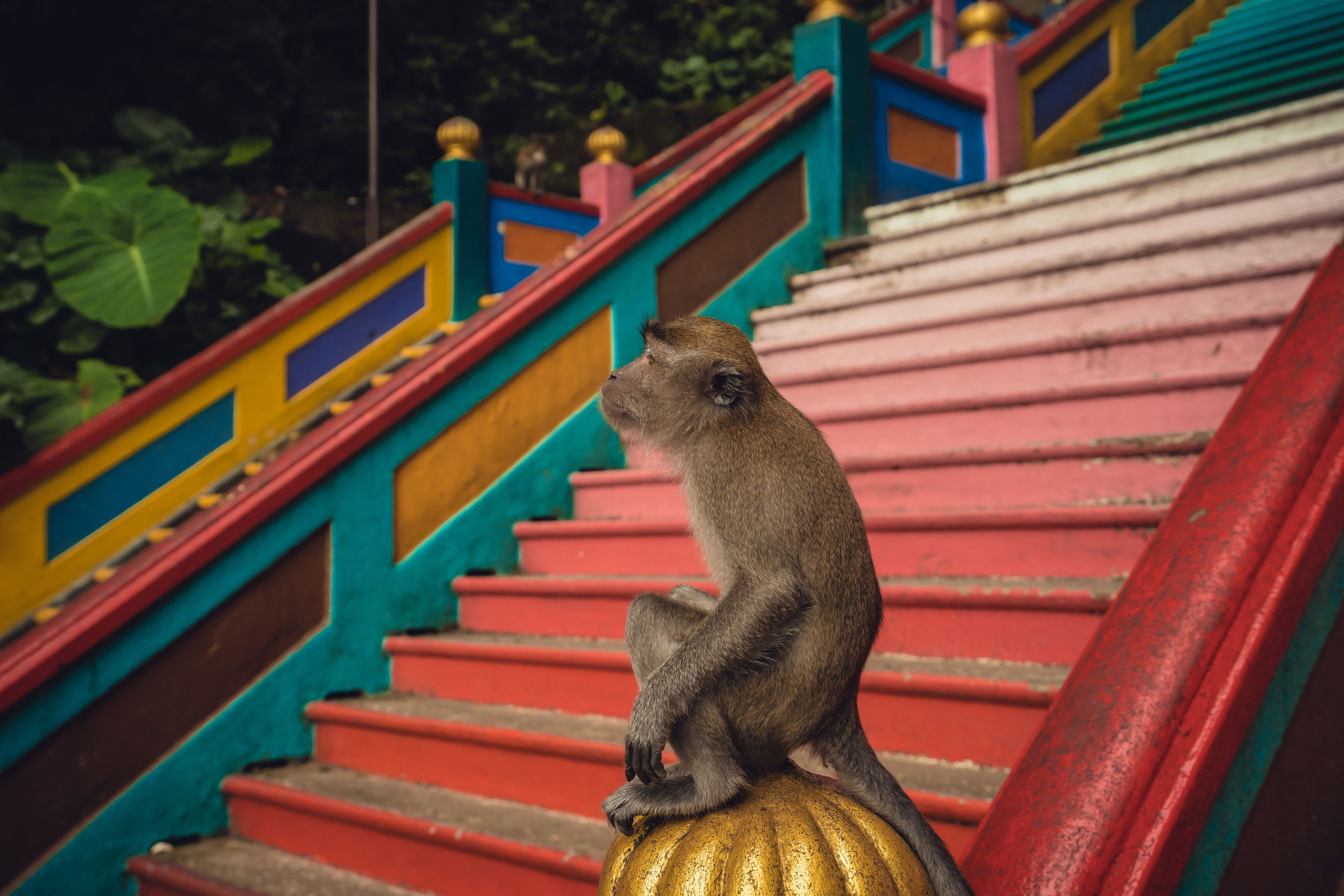 Куала Лумпур. Фотографирую для себя, своей семьи и друзей!