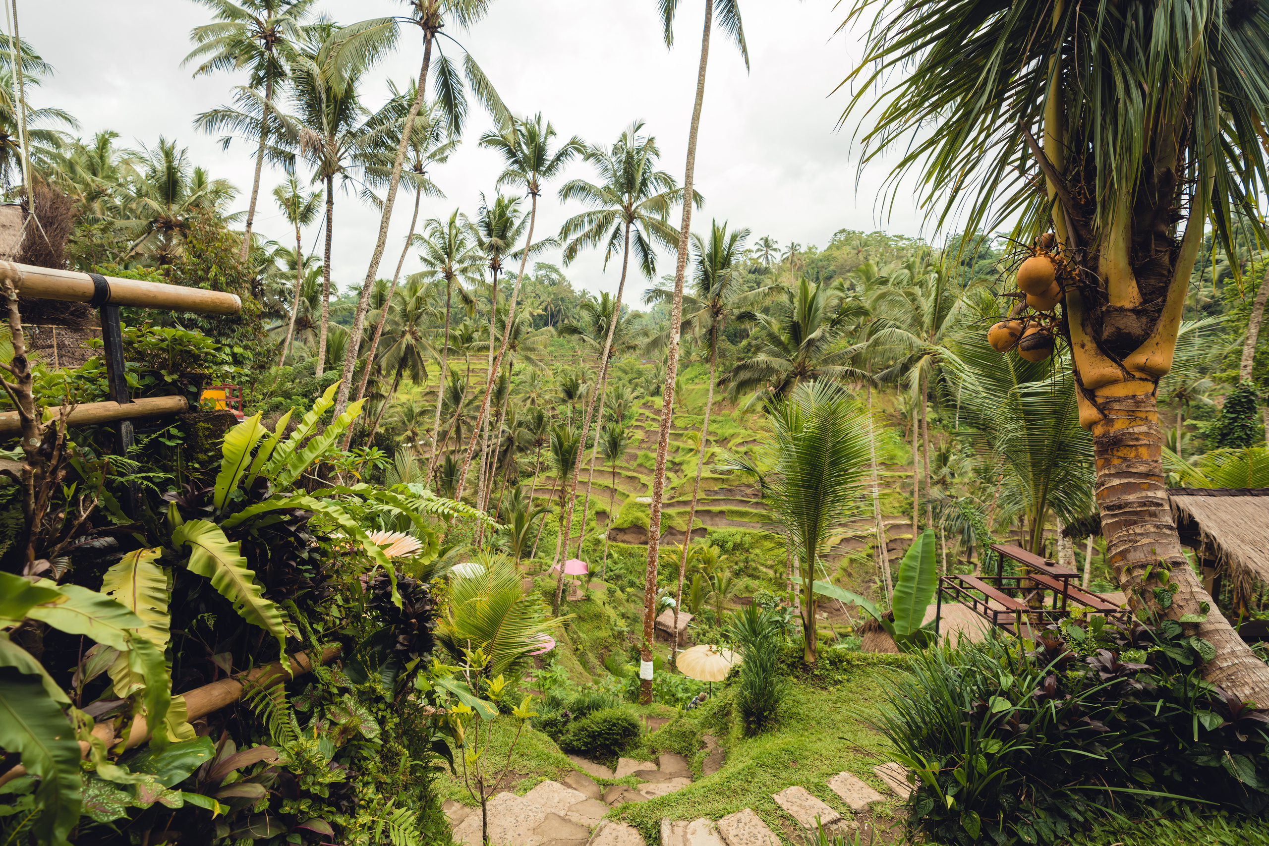 Бали. Фотографирую для себя, своей семьи и друзей!
