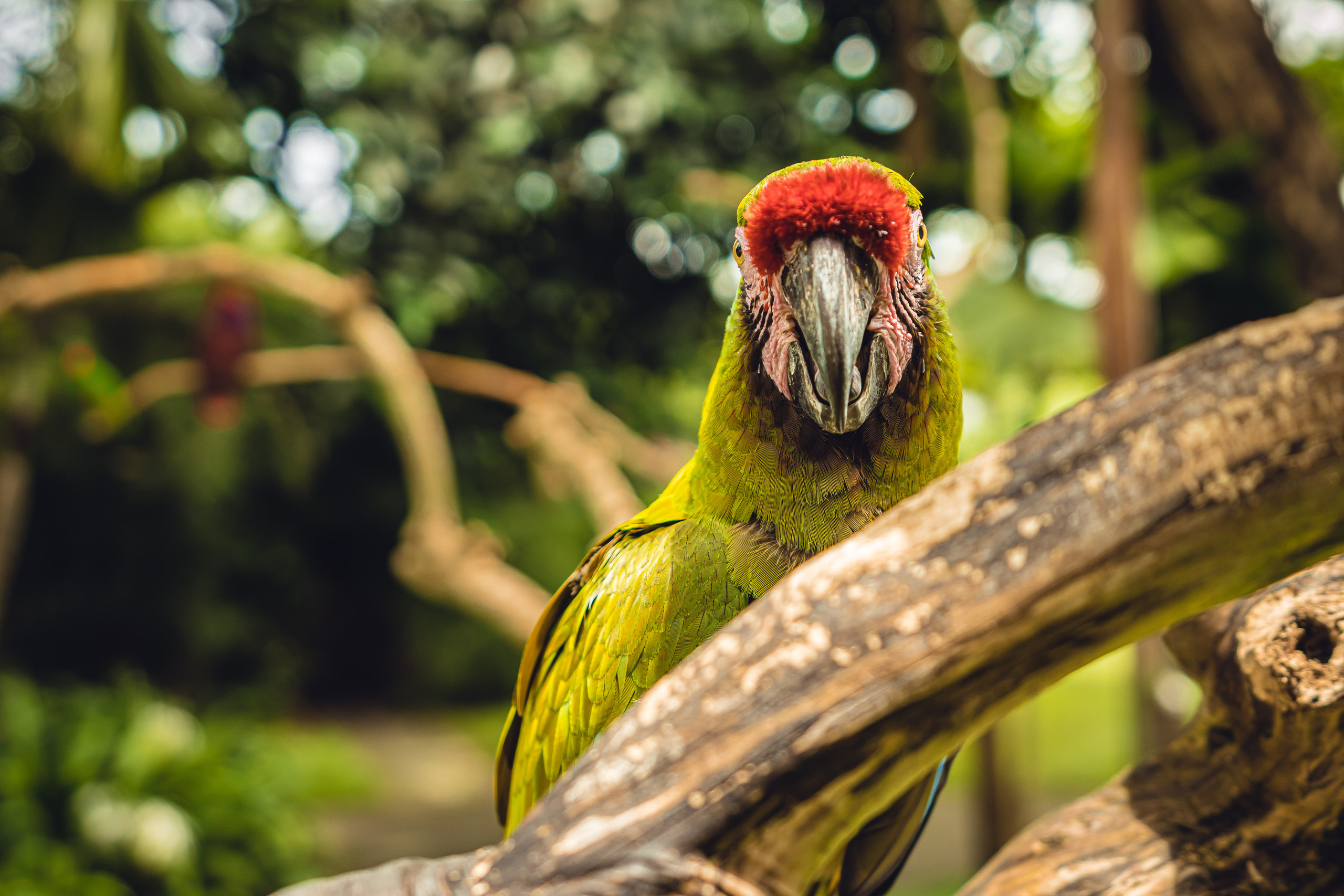 Бали. Фотографирую для себя, своей семьи и друзей!