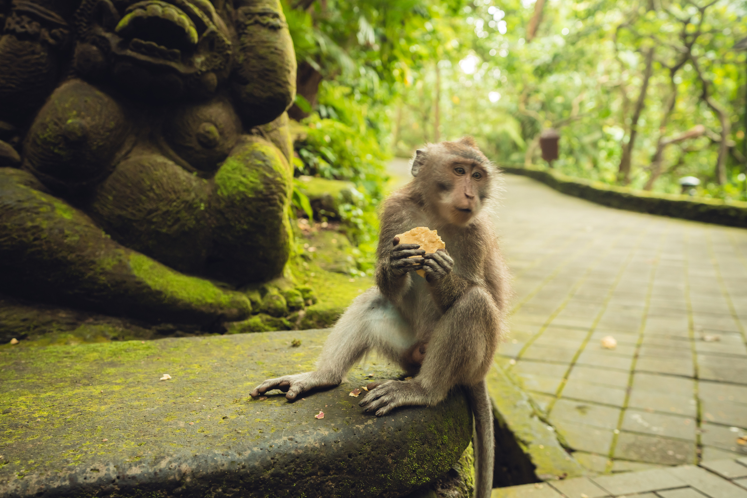 Бали. Фотографирую для себя, своей семьи и друзей!