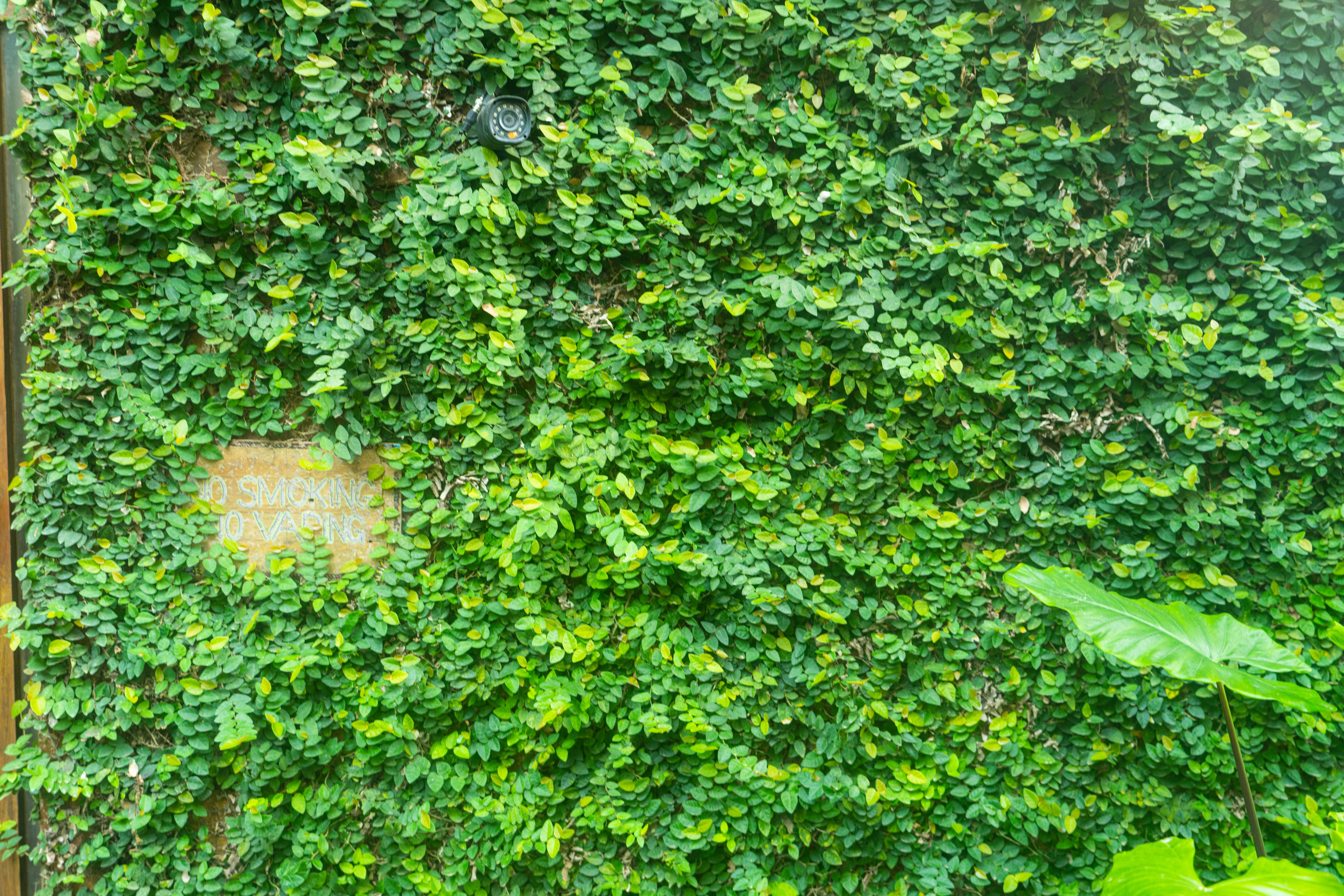 Бали. Фотографирую для себя, своей семьи и друзей!