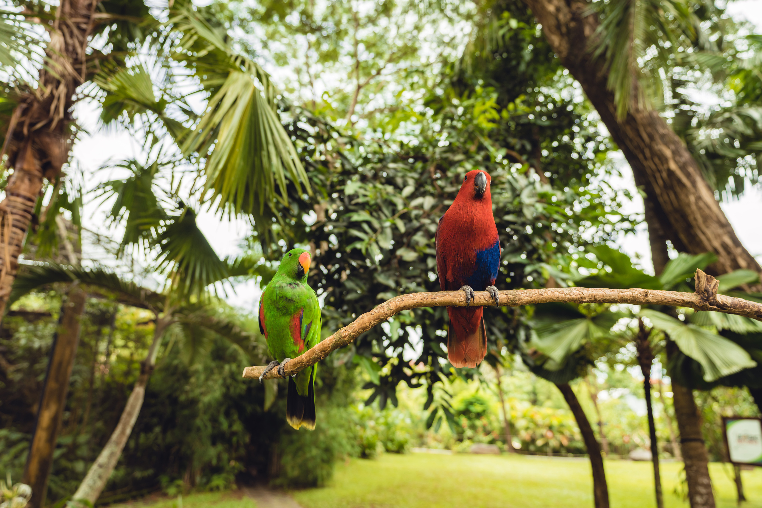 Бали. Фотографирую для себя, своей семьи и друзей!