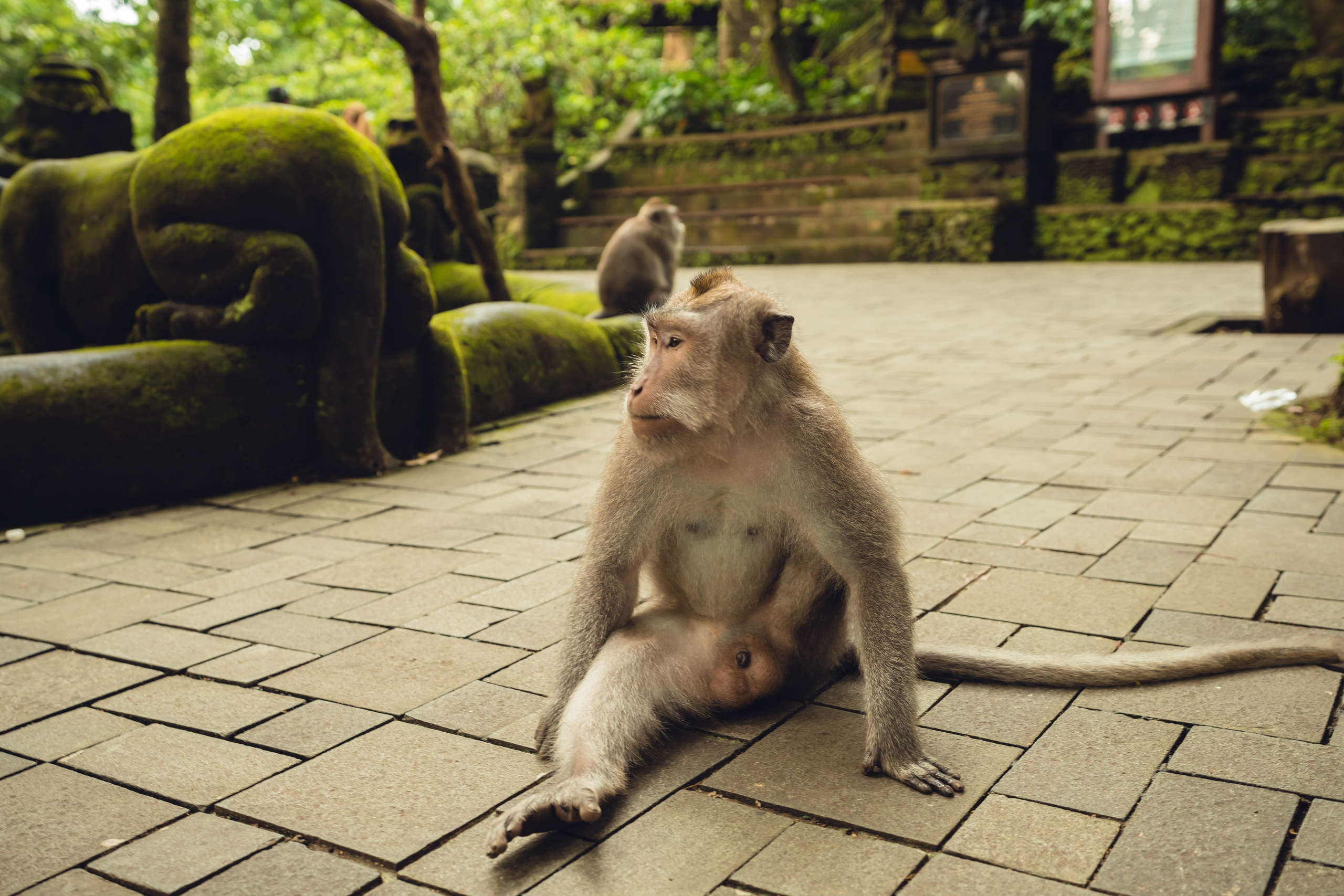 Бали. Фотографирую для себя, своей семьи и друзей!