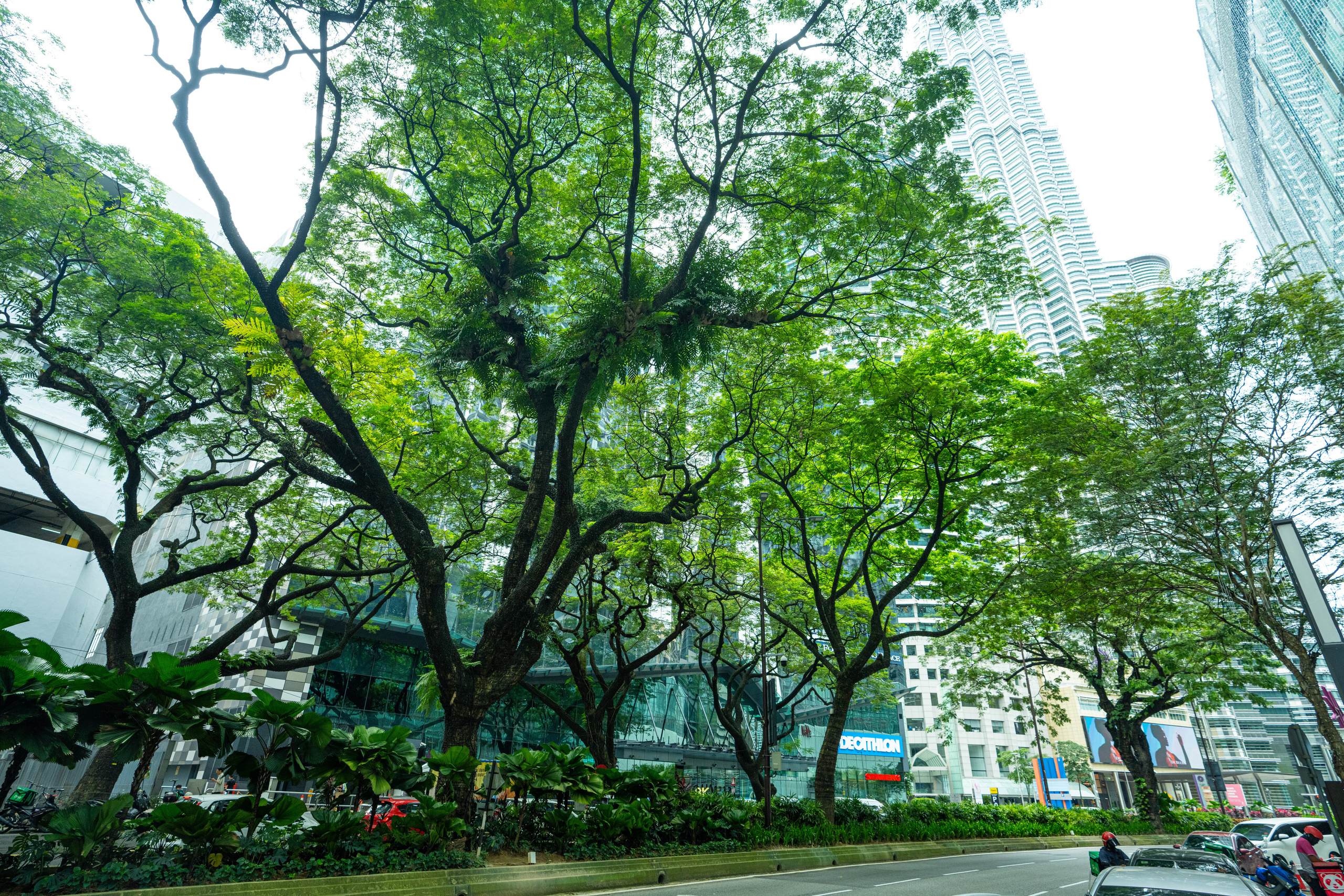 Куала Лумпур. Фотографирую для себя, своей семьи и друзей!