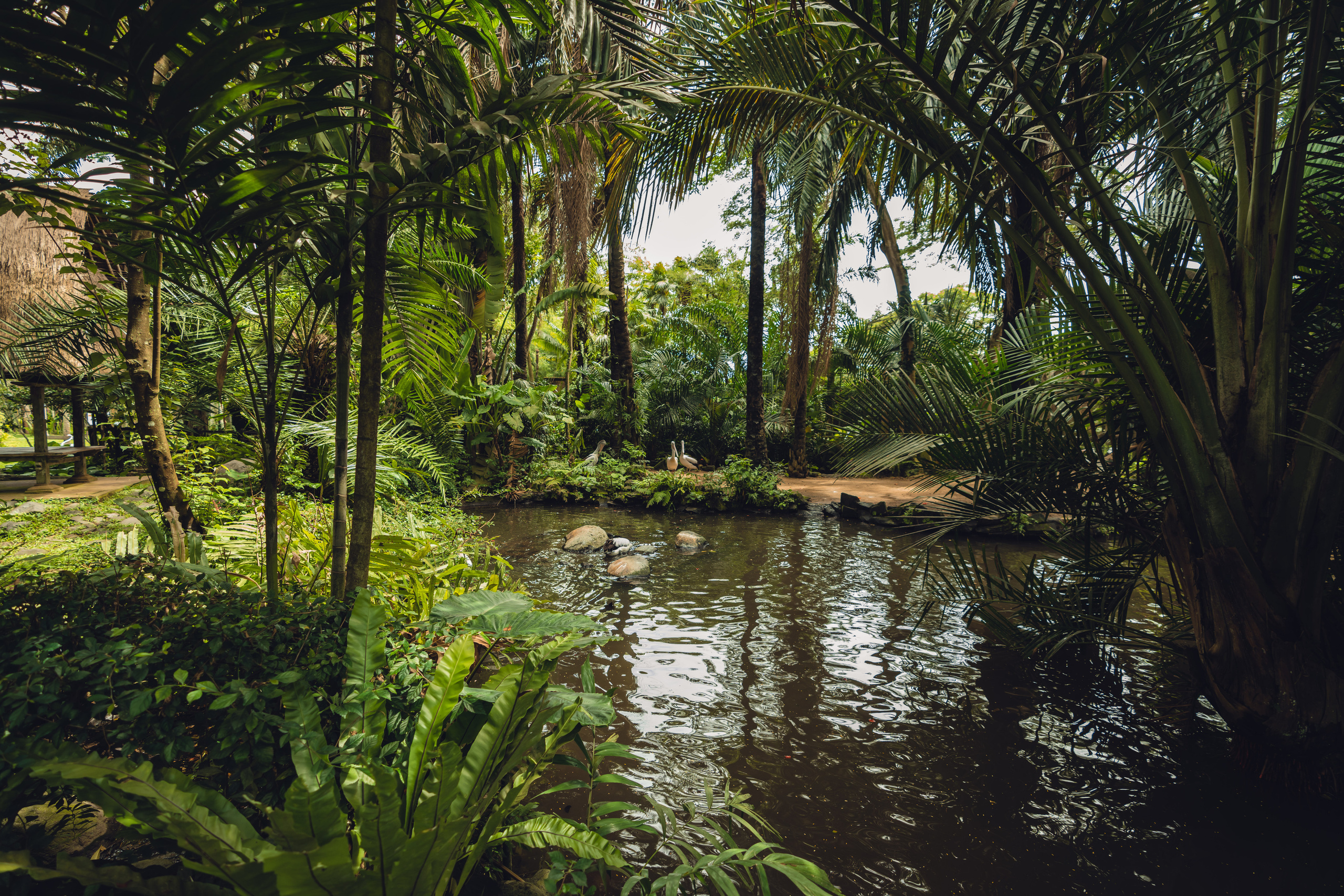 Бали. Фотографирую для себя, своей семьи и друзей!