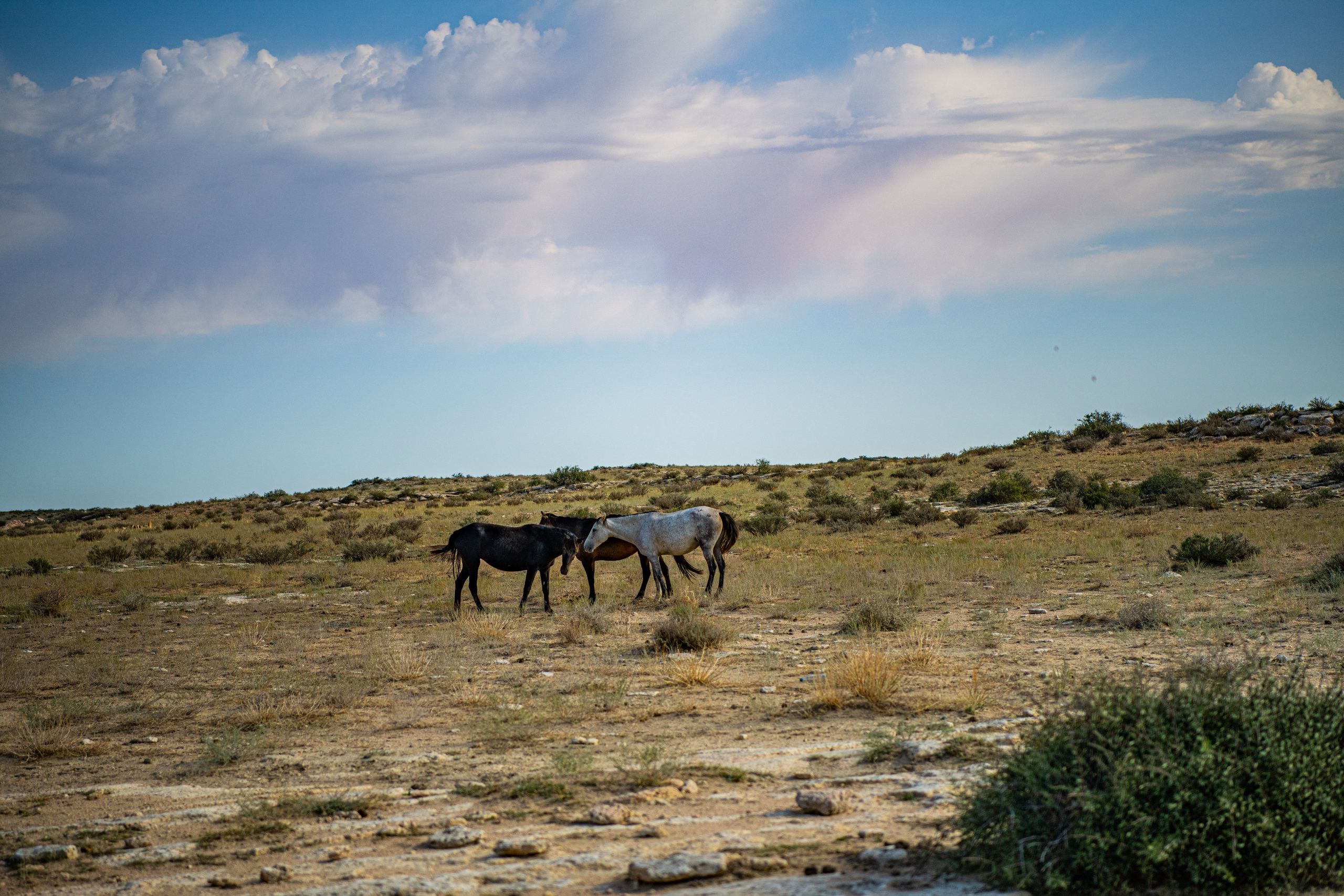 Мангистау. Фотографирую для себя, своей семьи и друзей!