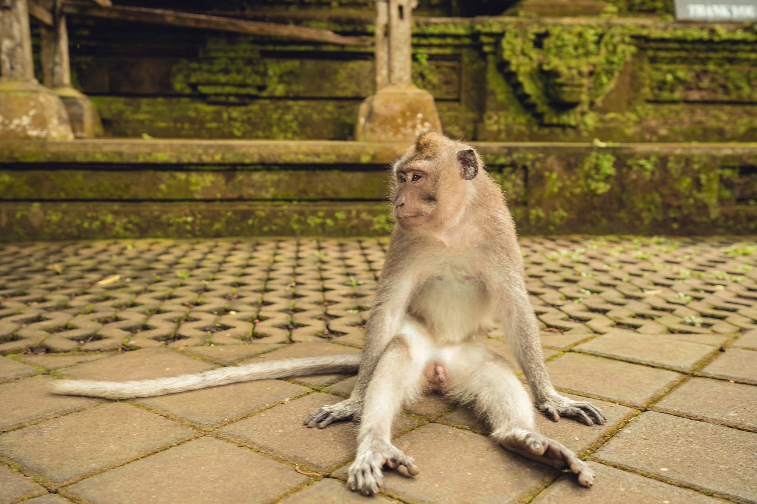 Бали. Фотографирую для себя, своей семьи и друзей!