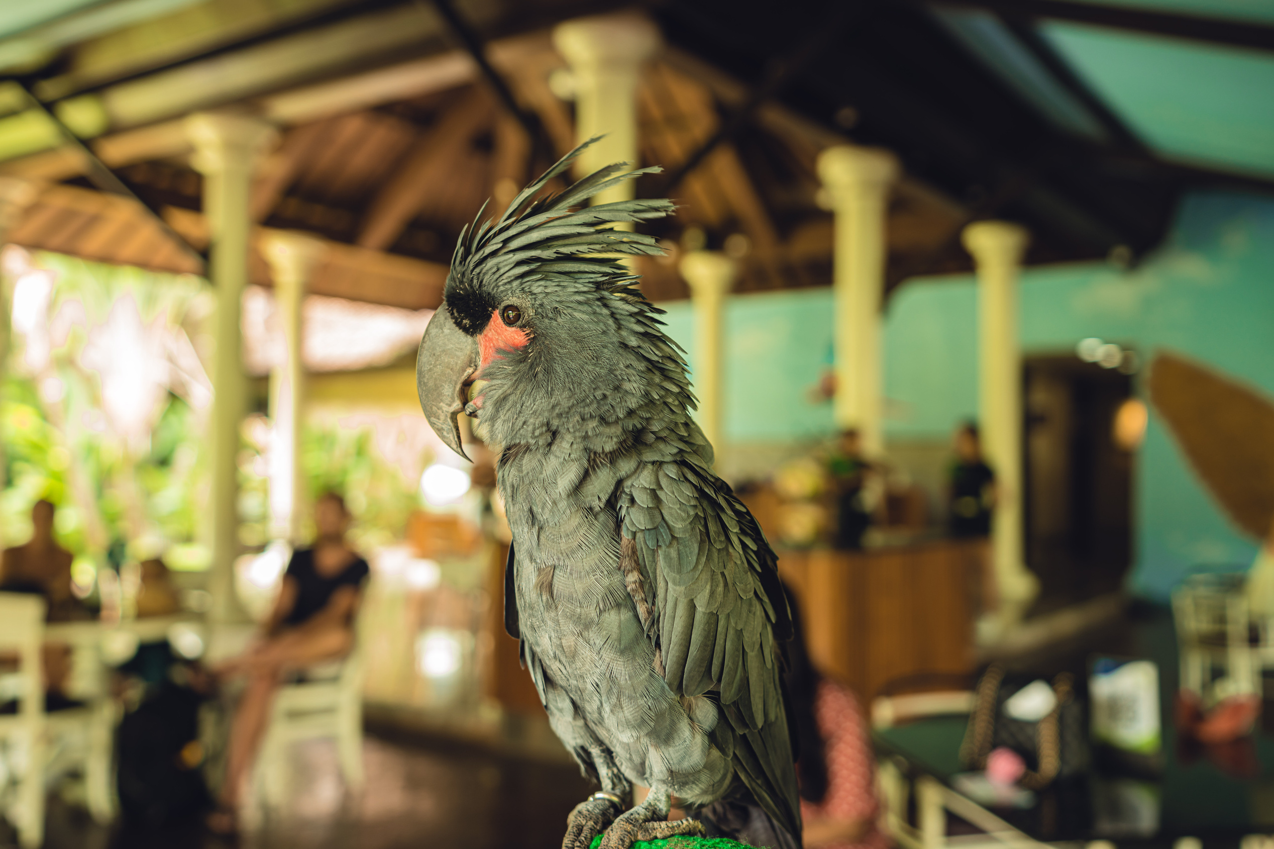 Бали. Фотографирую для себя, своей семьи и друзей!