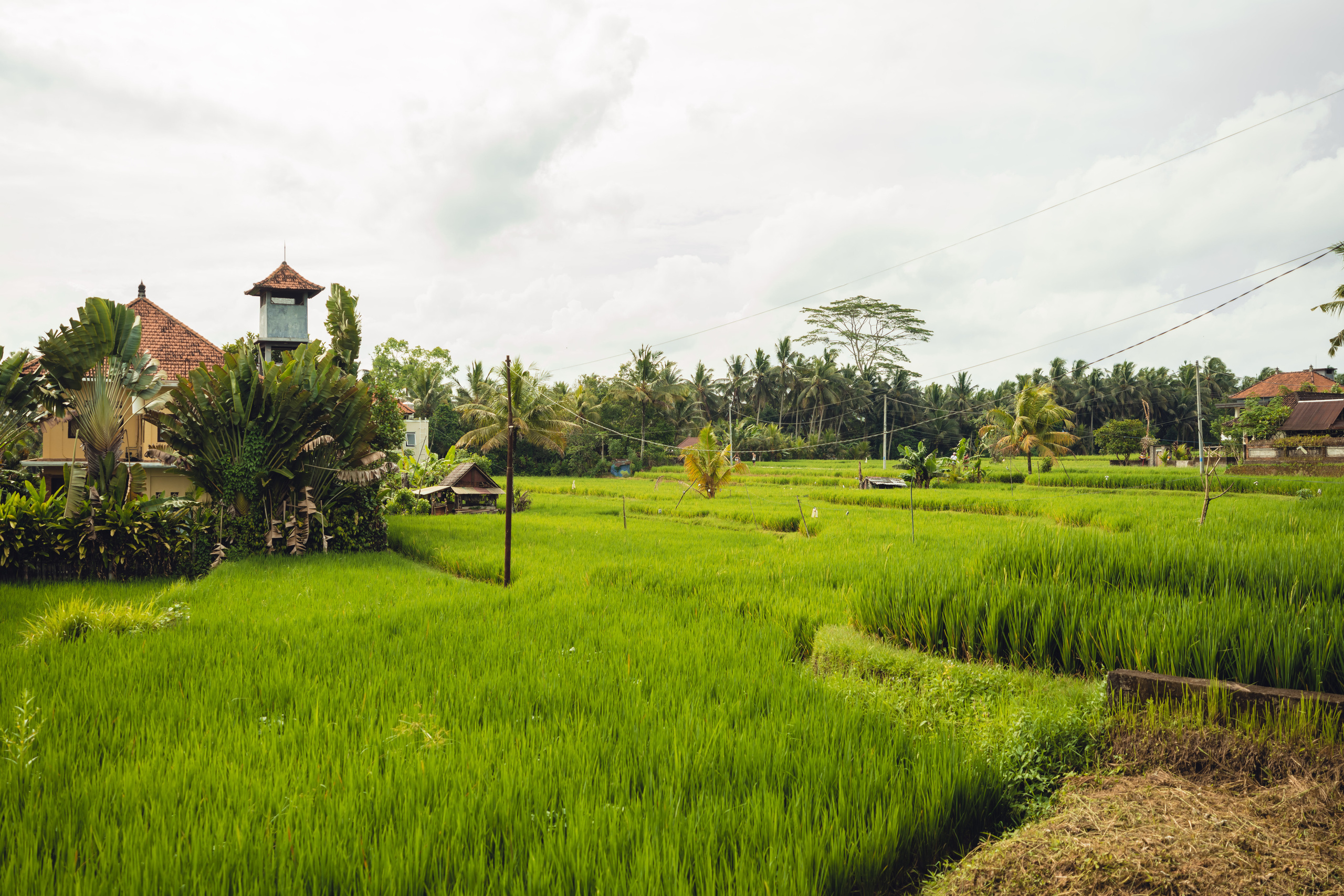 Бали. Фотографирую для себя, своей семьи и друзей!