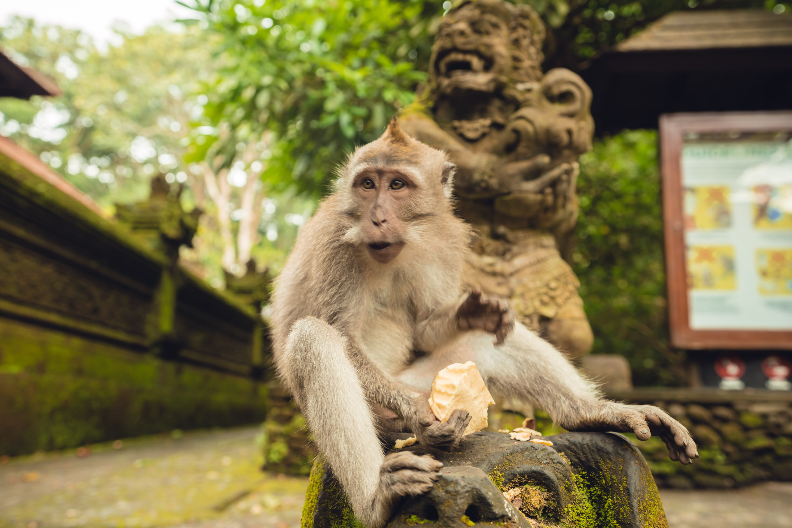 Бали. Фотографирую для себя, своей семьи и друзей!