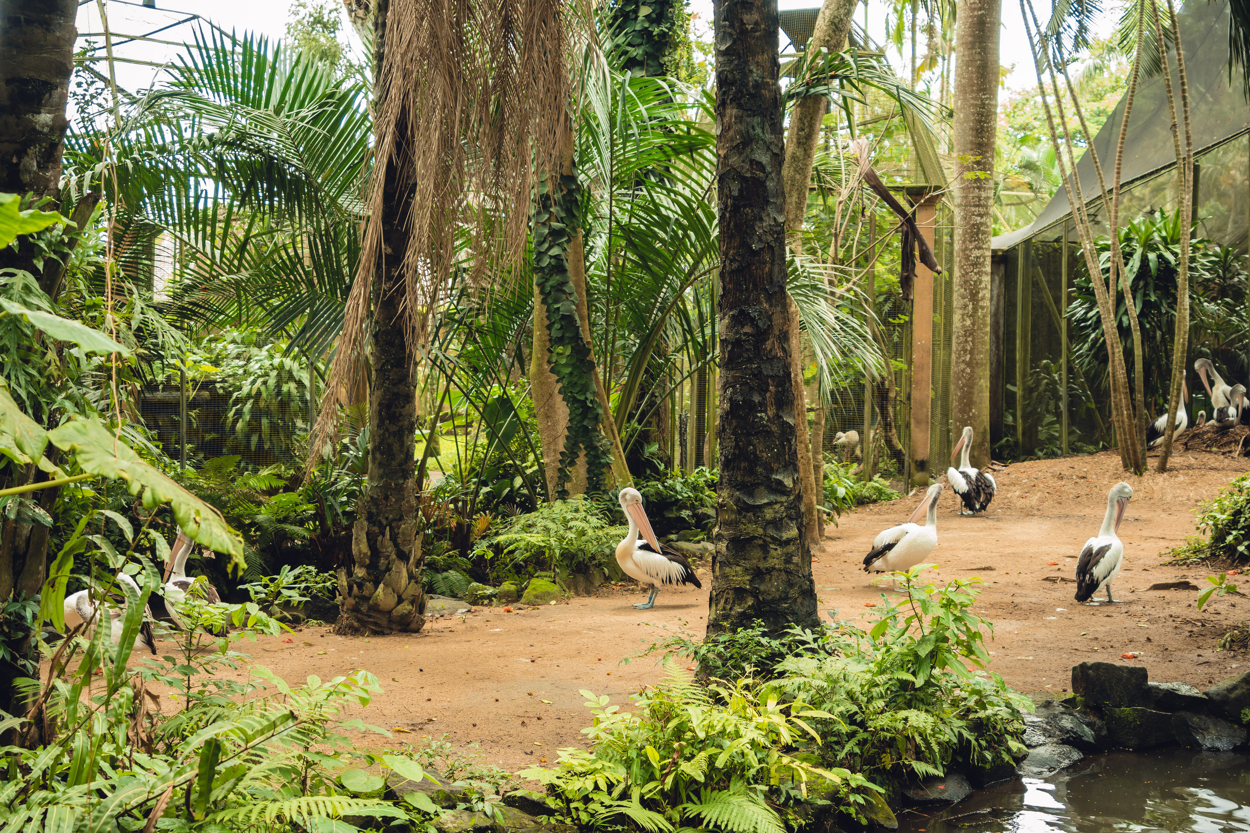 Бали. Фотографирую для себя, своей семьи и друзей!