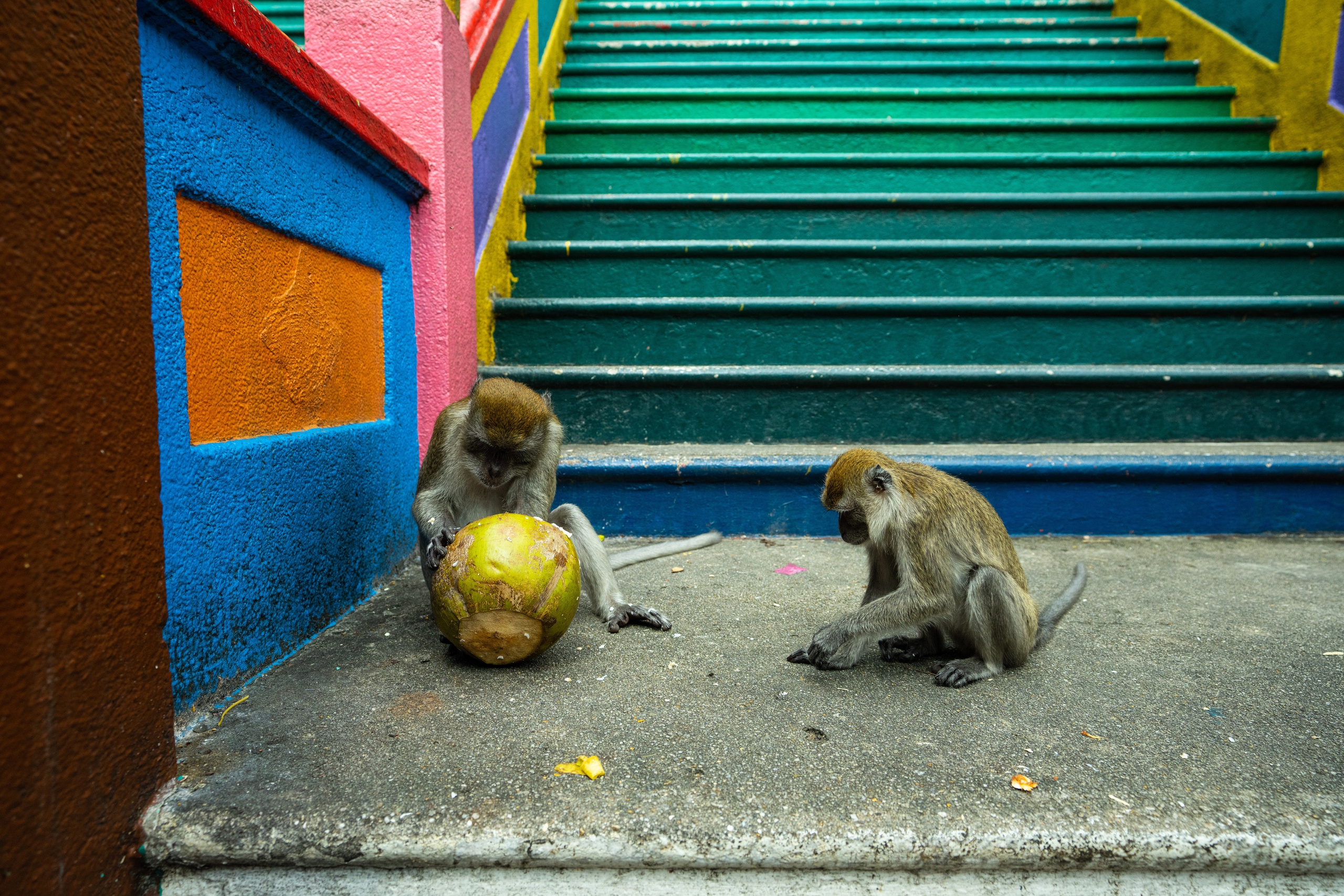 Куала Лумпур. Фотографирую для себя, своей семьи и друзей!
