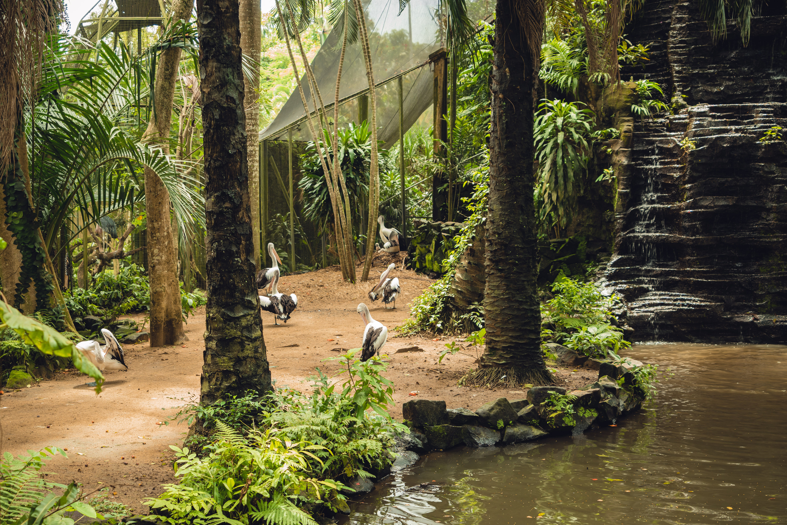 Бали. Фотографирую для себя, своей семьи и друзей!