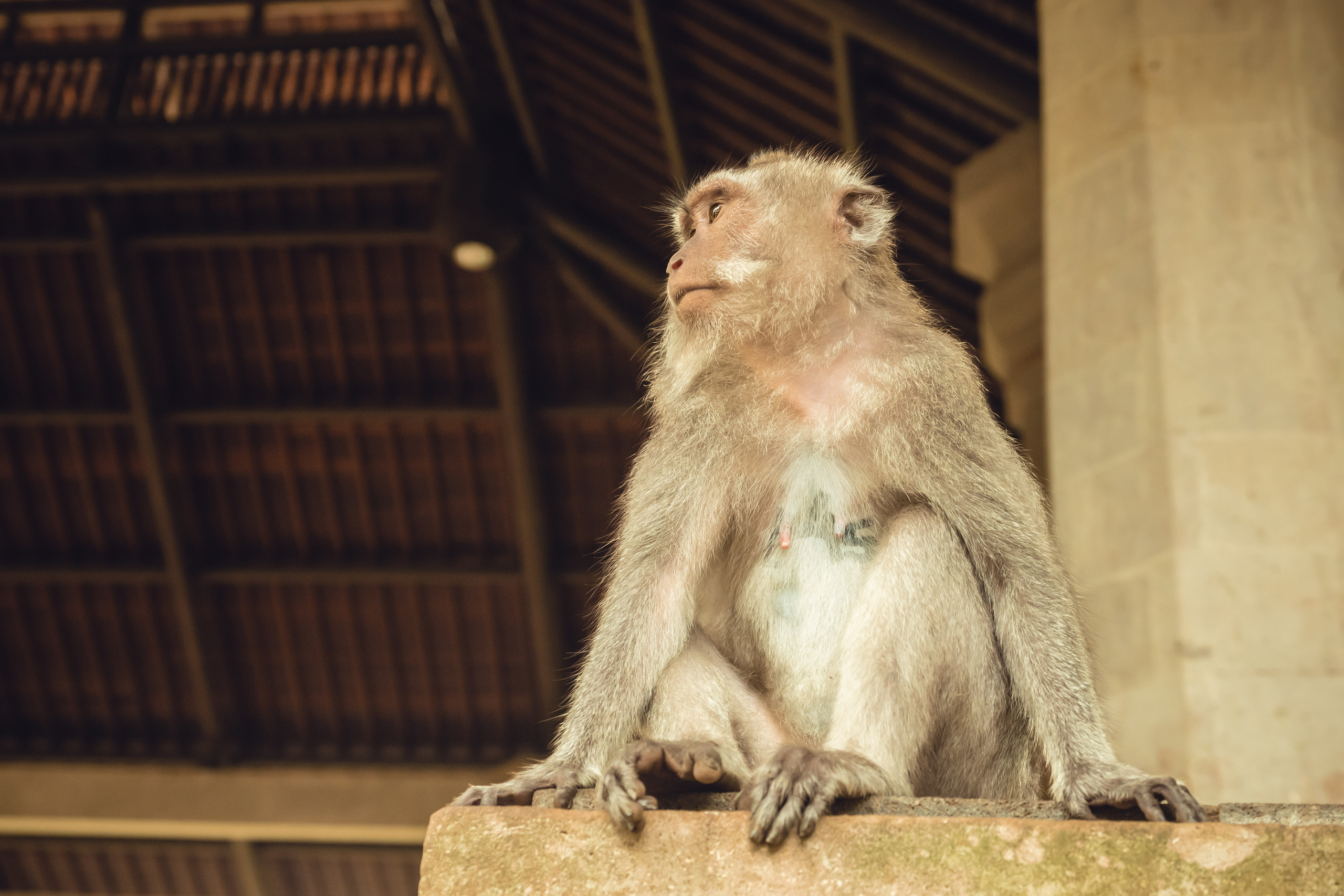 Бали. Фотографирую для себя, своей семьи и друзей!