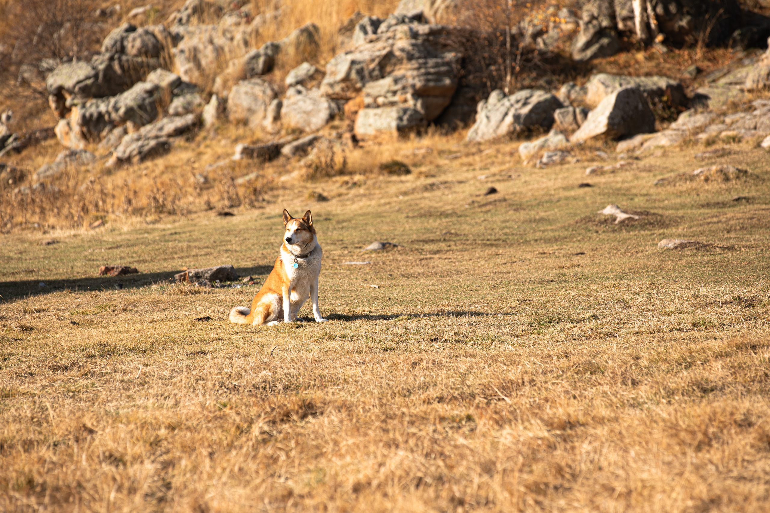 Северный Кавказ Волок. Фотографирую для себя, своей семьи и друзей!