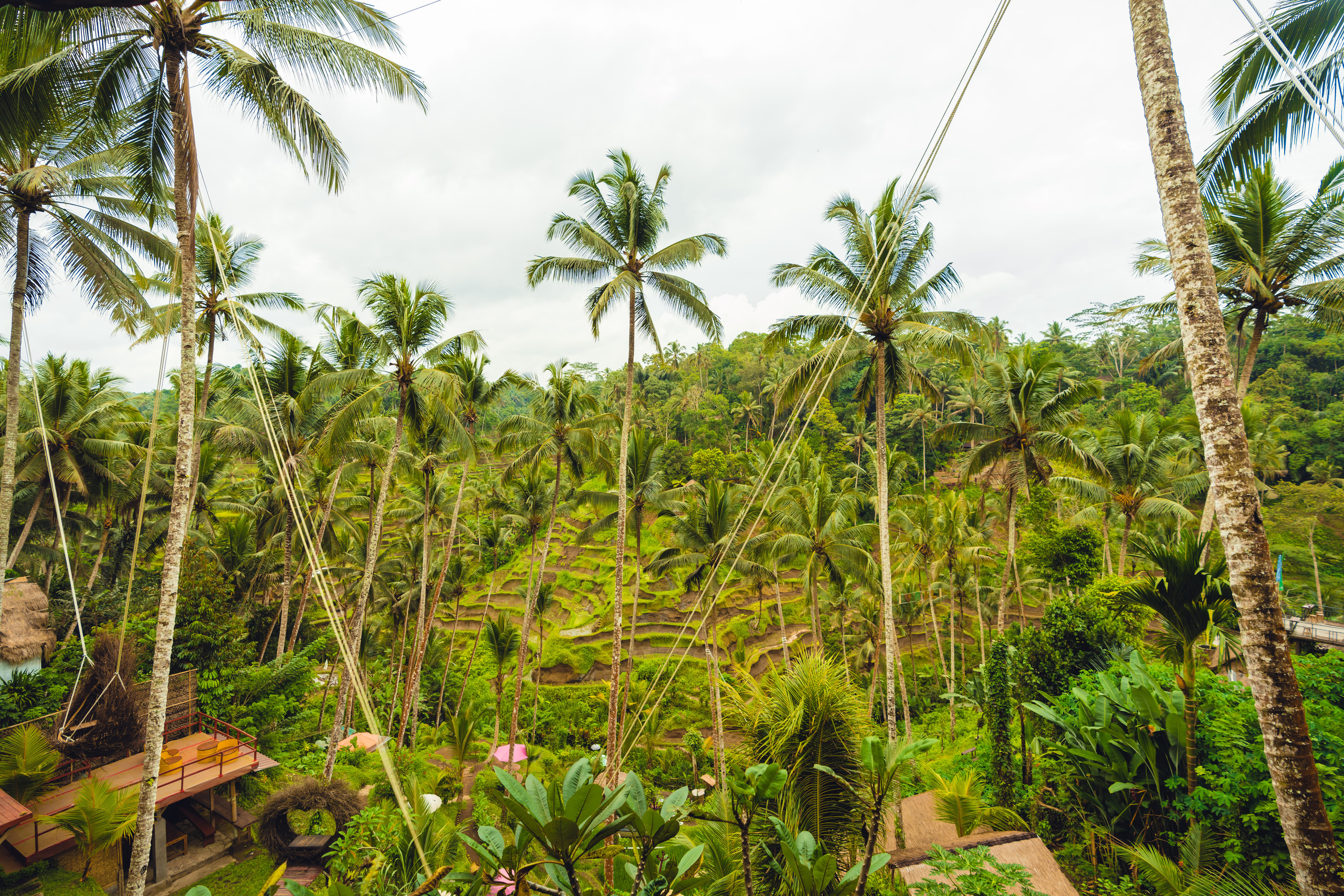 Бали. Фотографирую для себя, своей семьи и друзей!