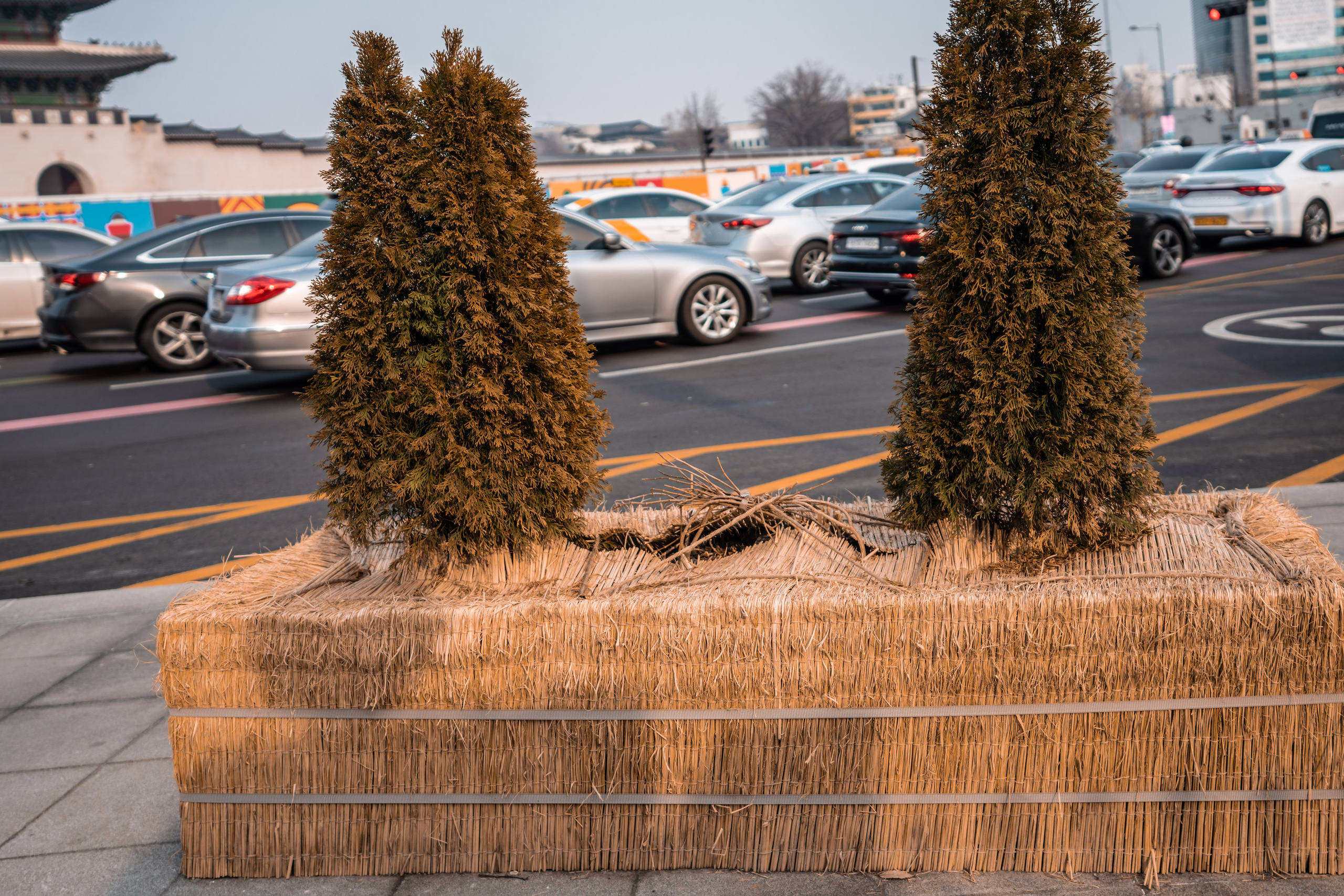Сеул. Фотографирую для себя, своей семьи и друзей!