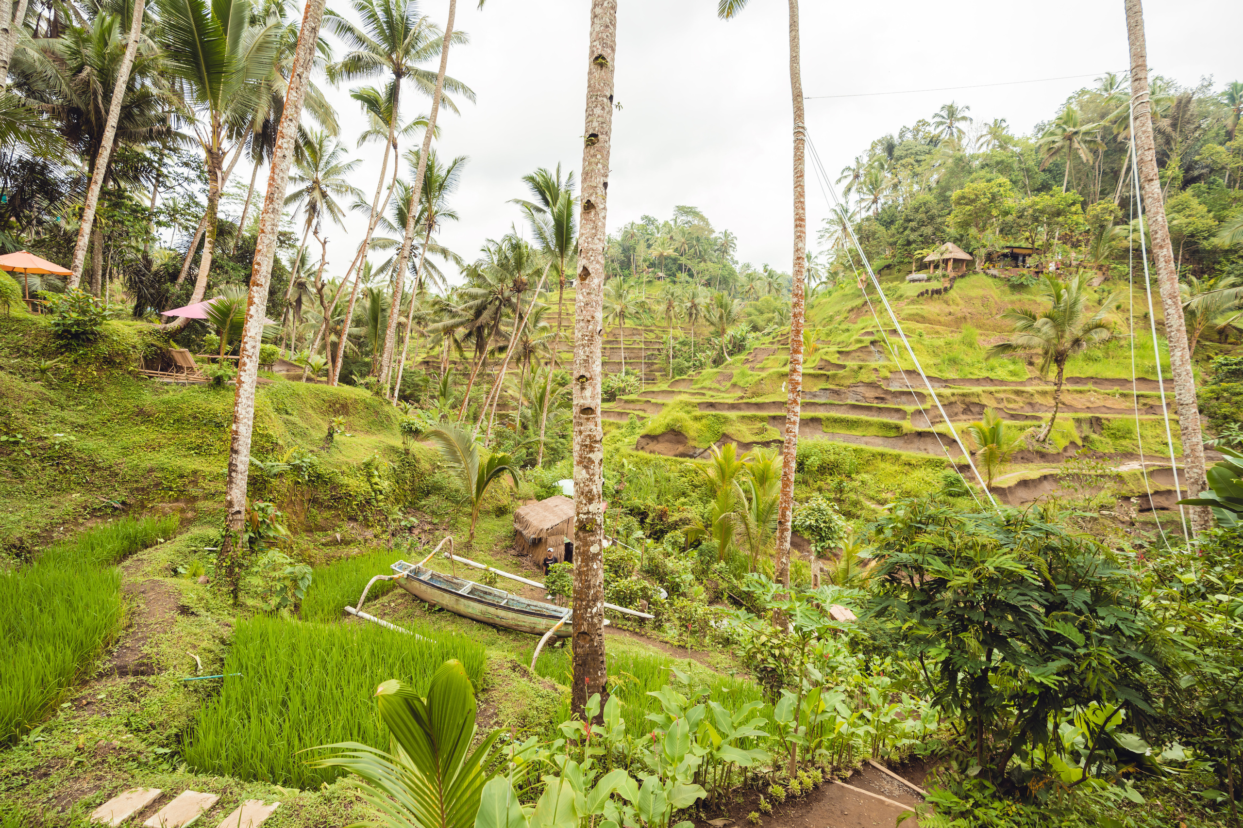 Бали. Фотографирую для себя, своей семьи и друзей!
