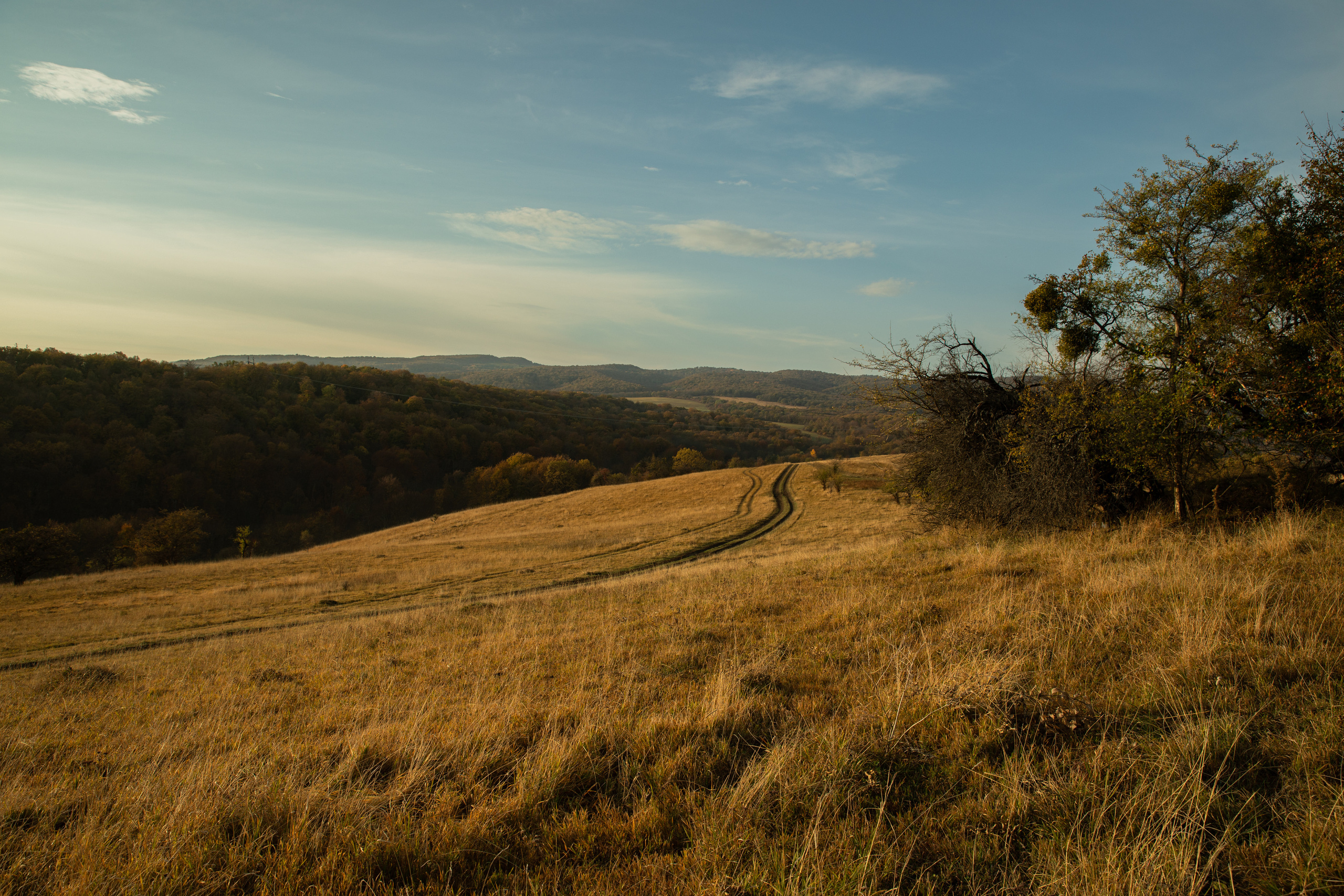 Северный Кавказ Волок. Фотографирую для себя, своей семьи и друзей!