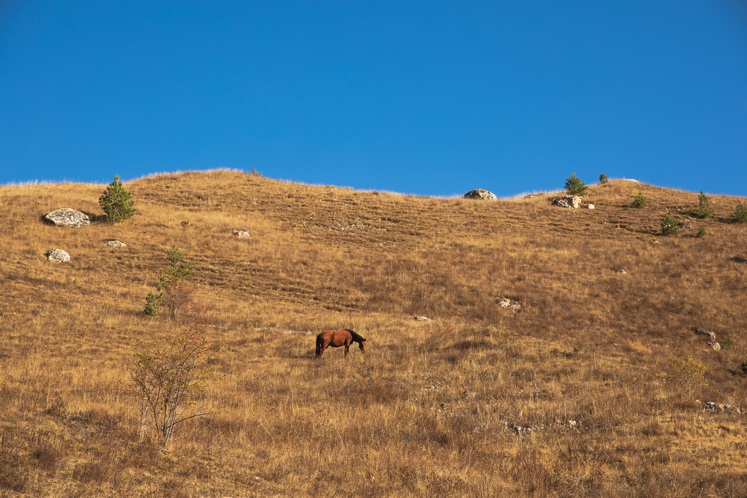 Северный Кавказ Волок. Фотографирую для себя, своей семьи и друзей!
