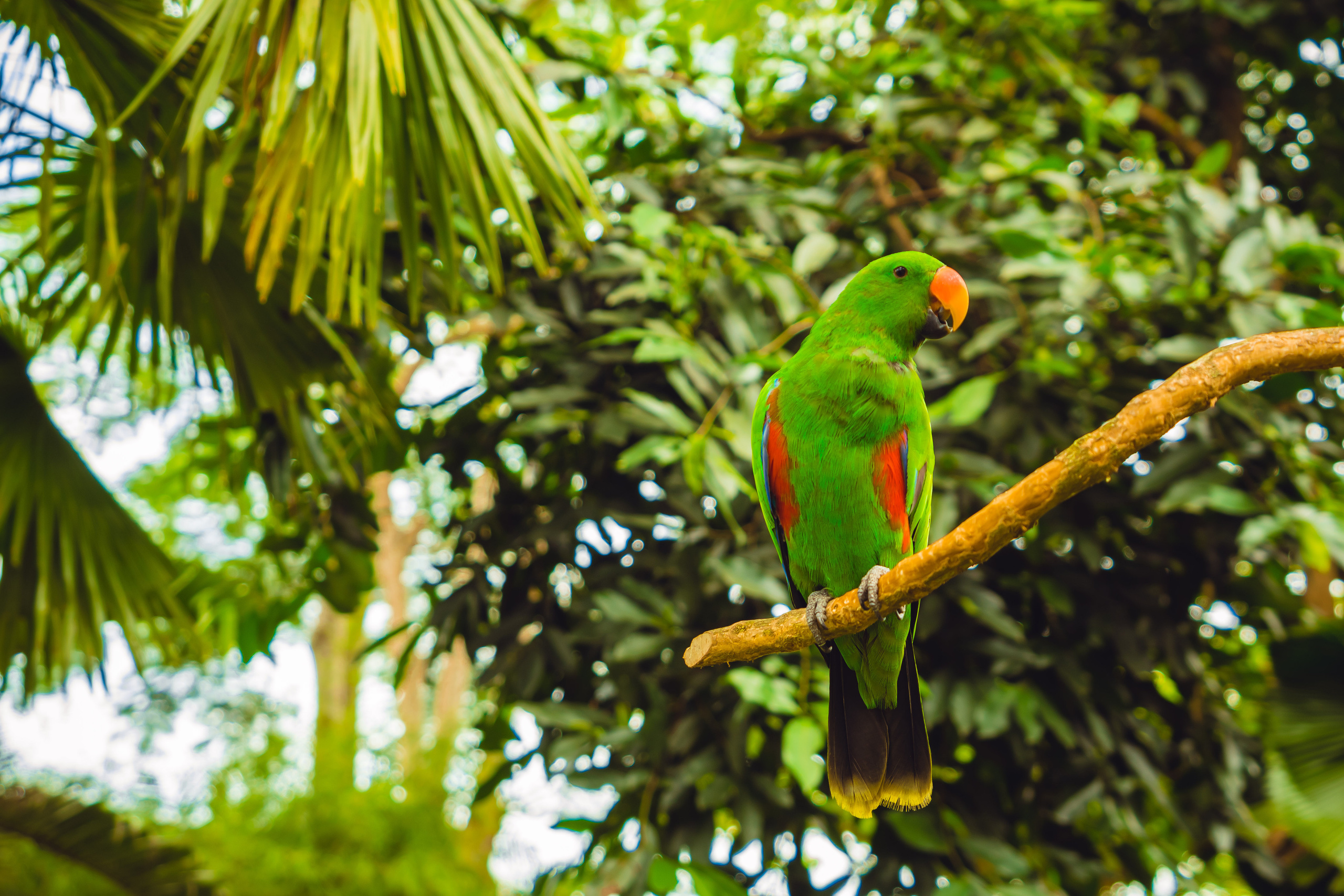 Бали. Фотографирую для себя, своей семьи и друзей!