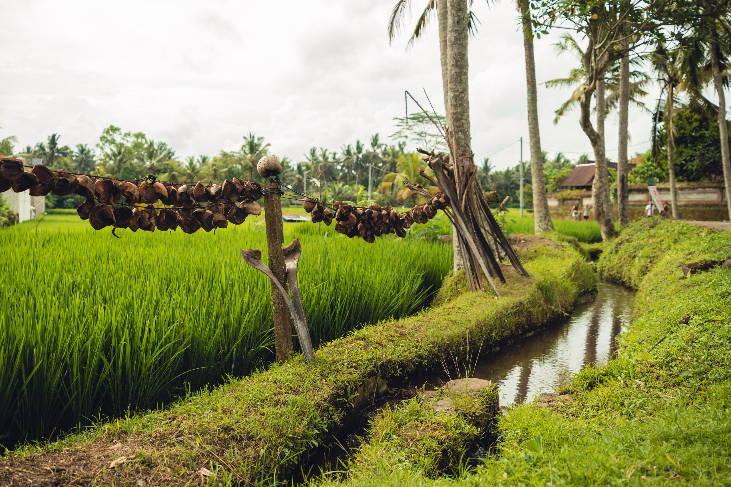 Бали. Фотографирую для себя, своей семьи и друзей!