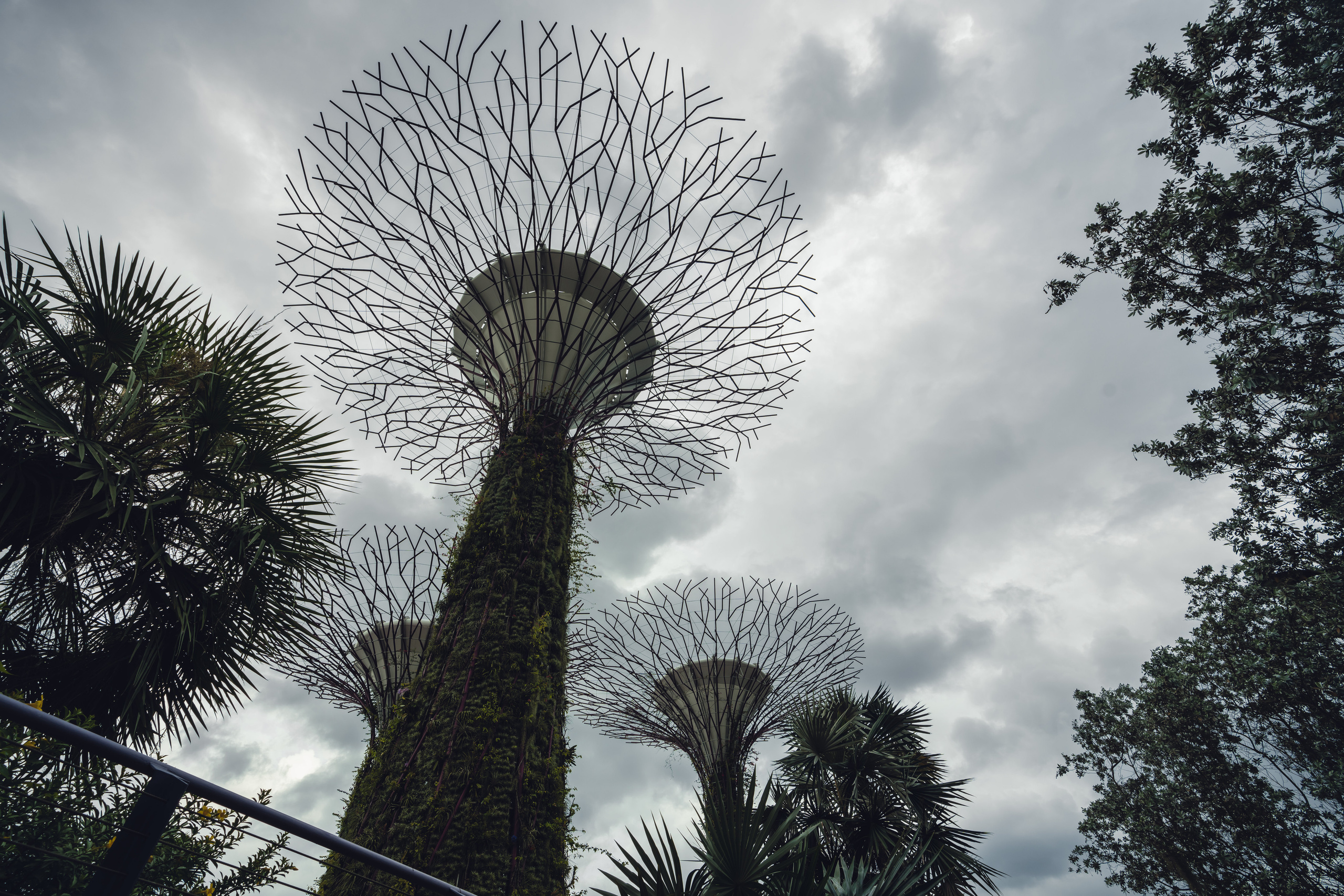 Сингапур. Фотографирую для себя, своей семьи и друзей!