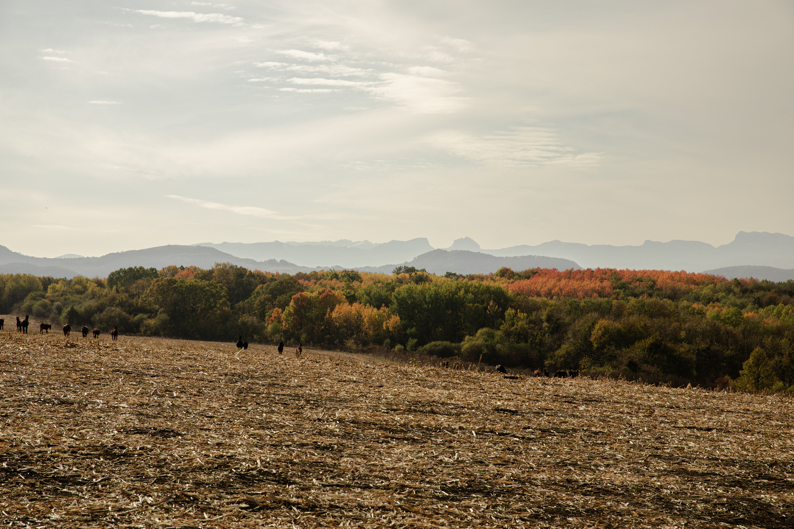 Северный Кавказ Волок. Фотографирую для себя, своей семьи и друзей!