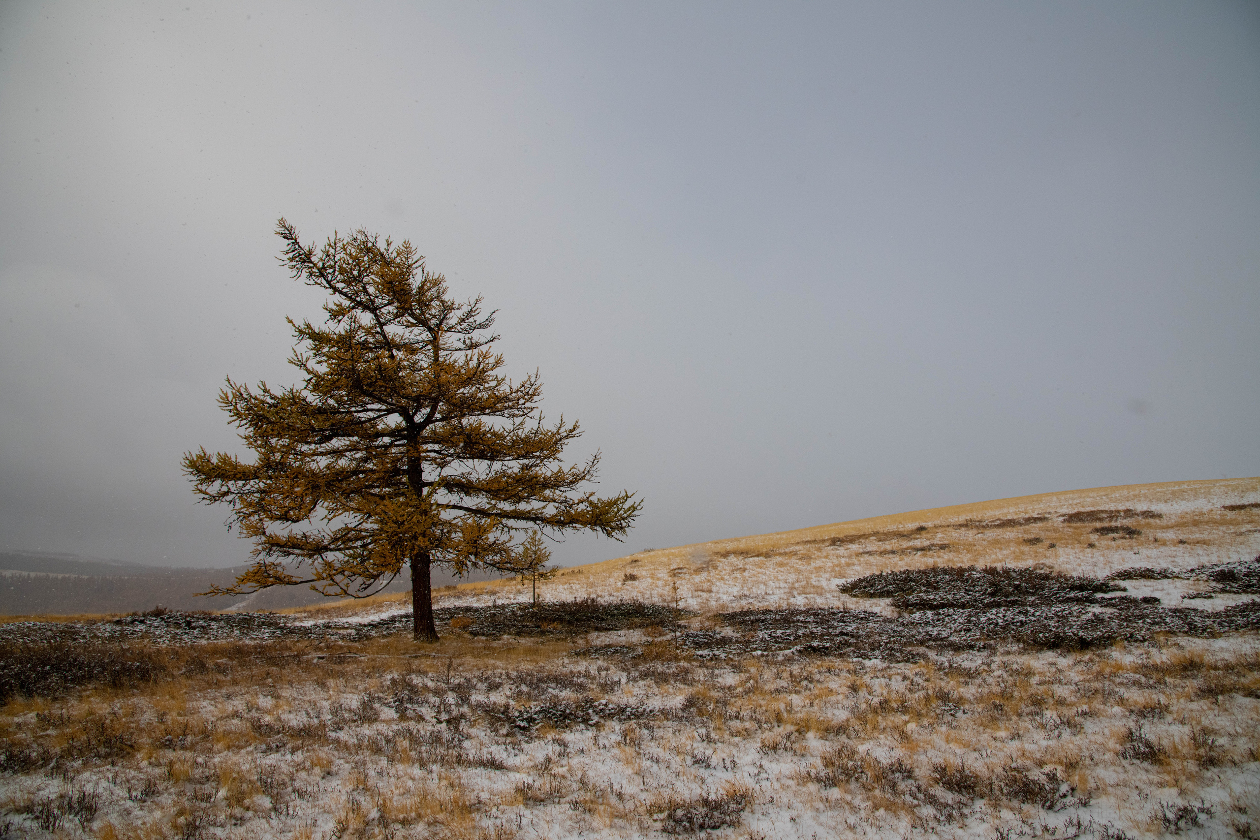 Алтай. Фотографирую для себя, своей семьи и друзей!