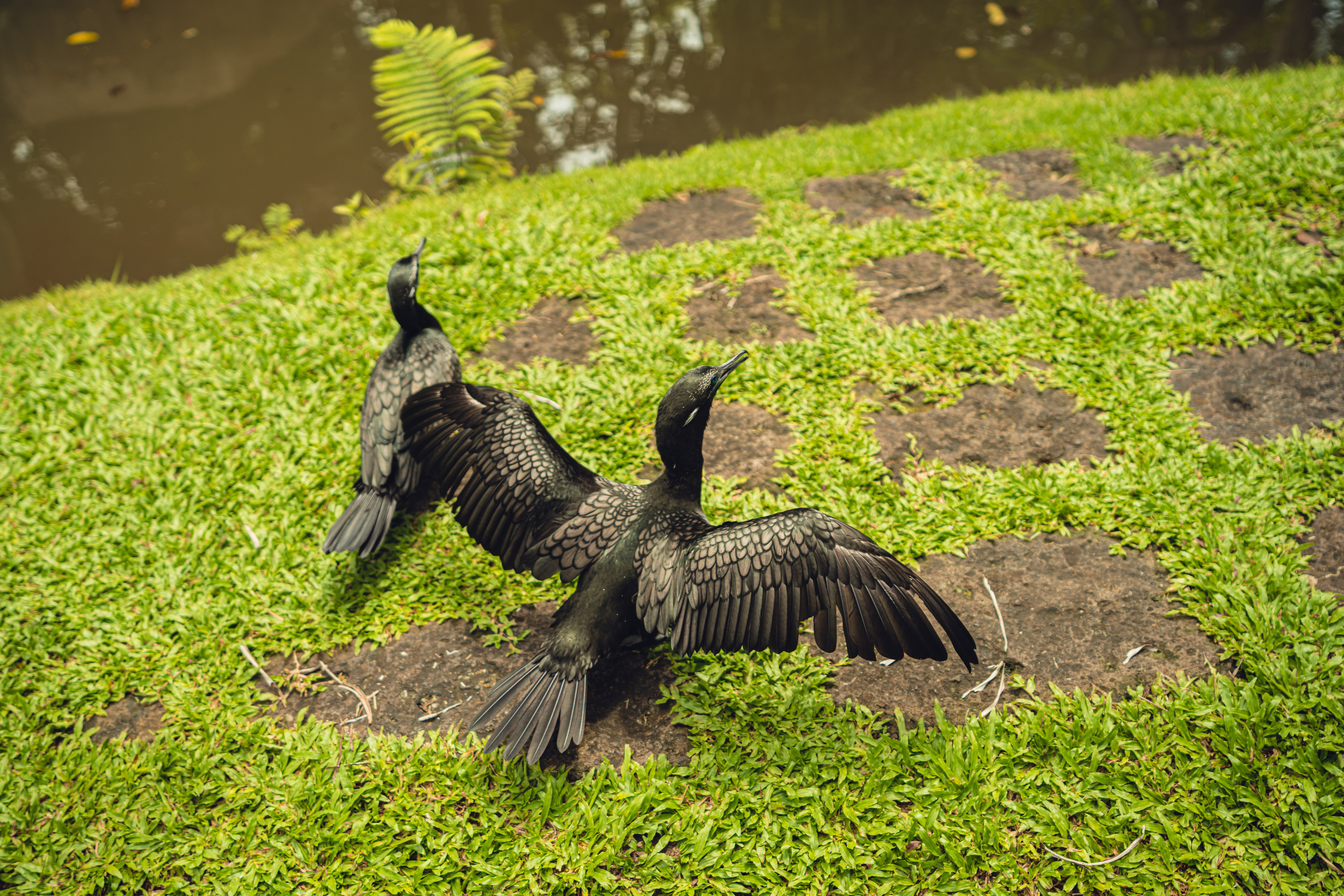 Бали. Фотографирую для себя, своей семьи и друзей!