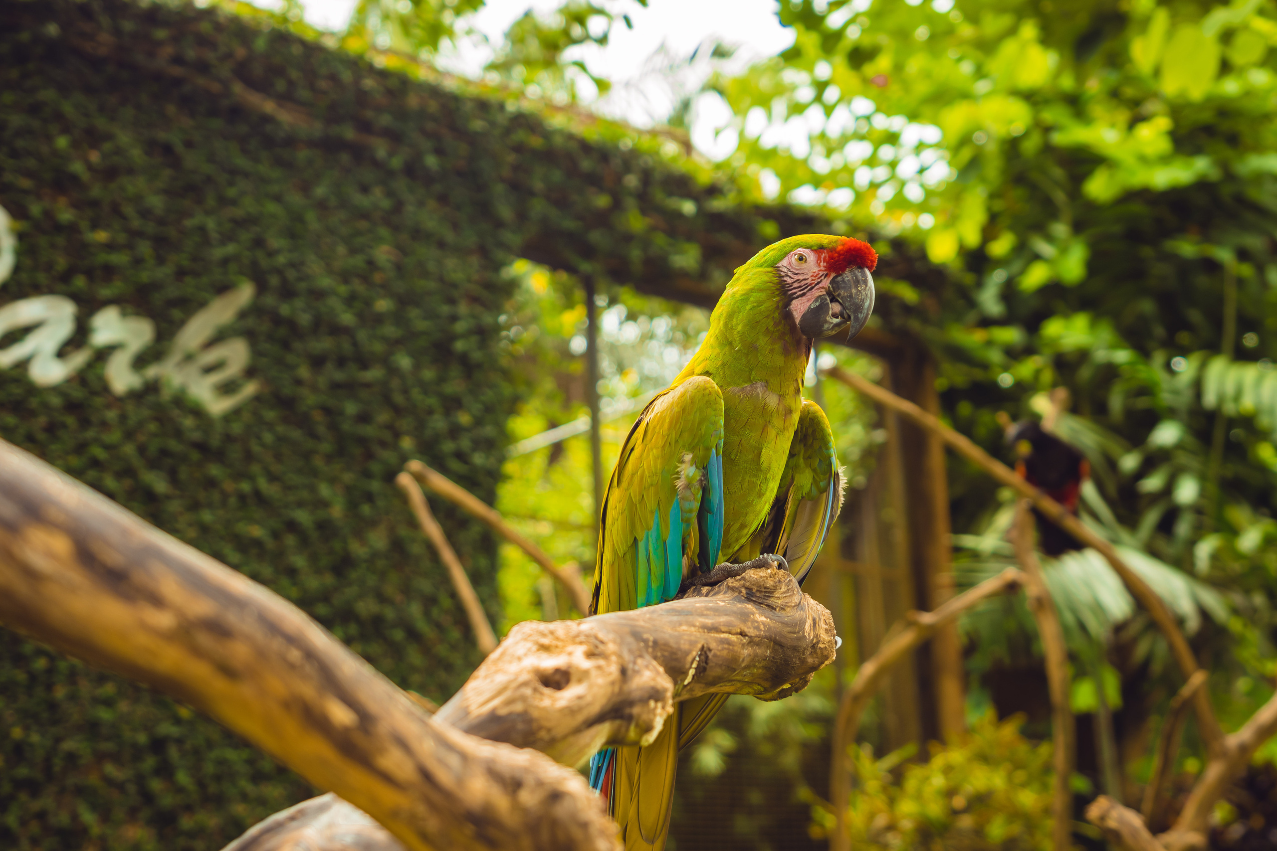Бали. Фотографирую для себя, своей семьи и друзей!