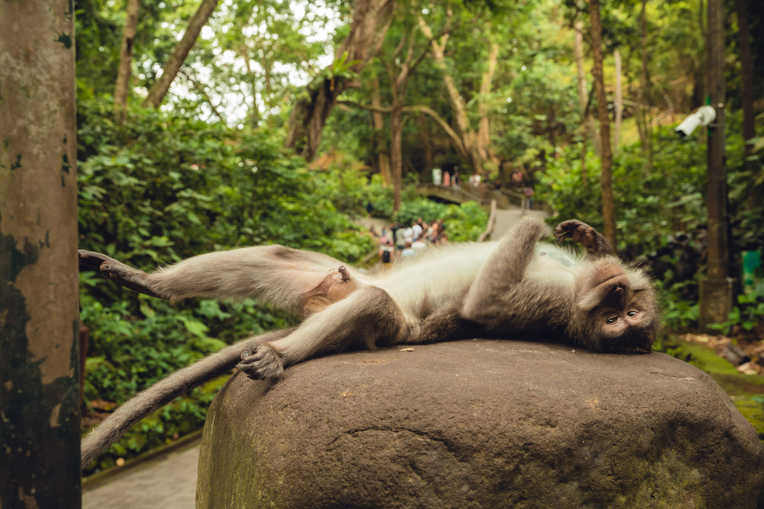 Бали. Фотографирую для себя, своей семьи и друзей!