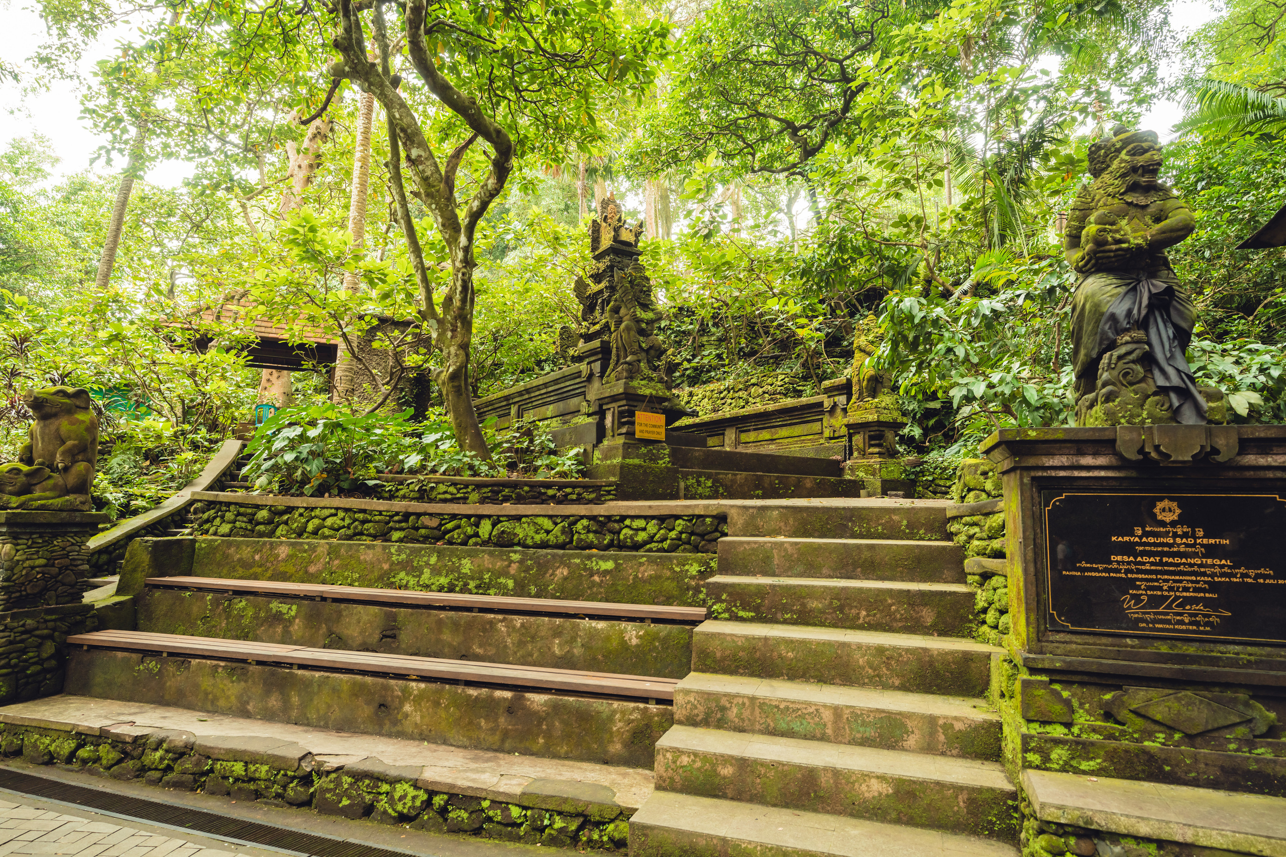 Бали. Фотографирую для себя, своей семьи и друзей!