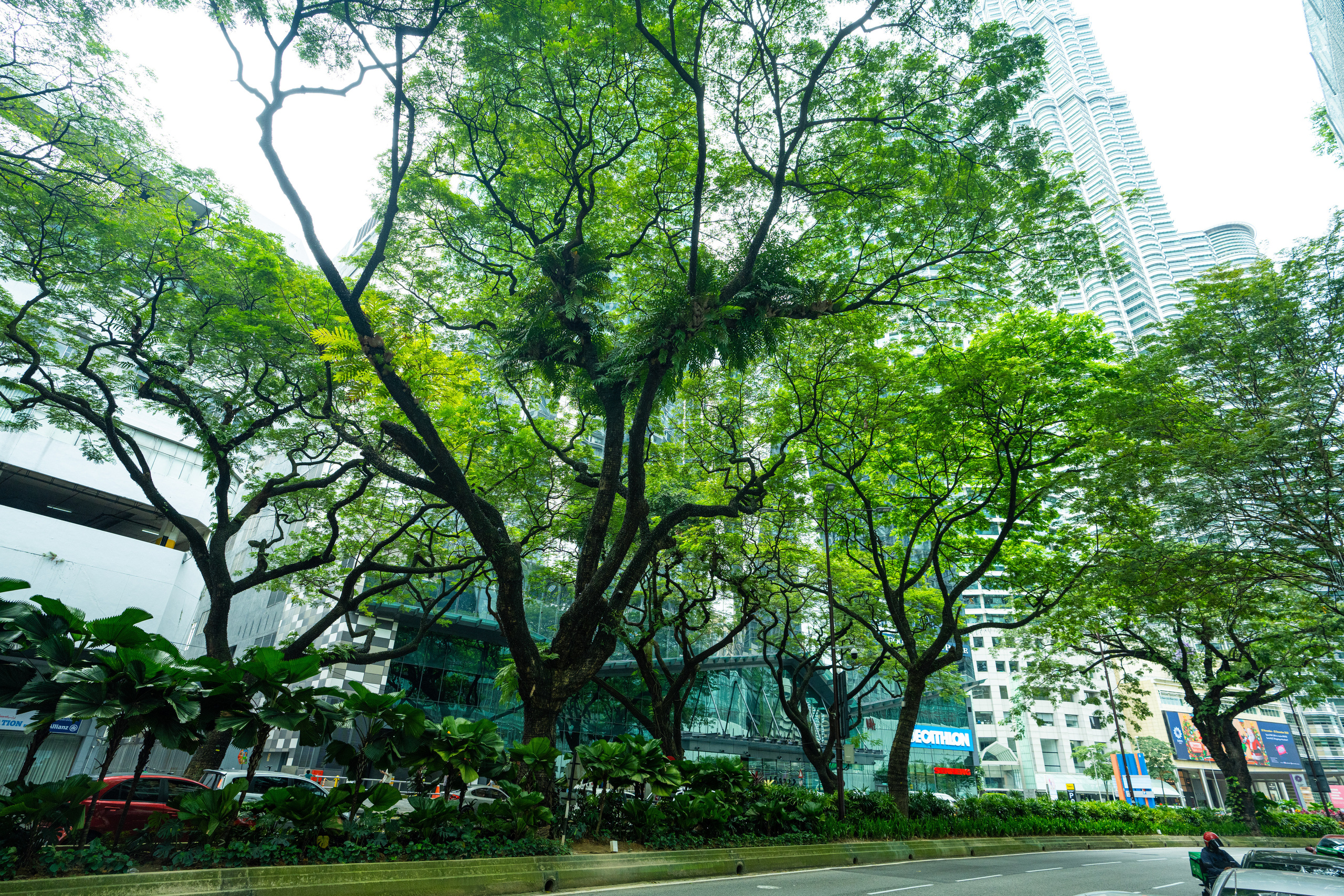 Куала Лумпур. Фотографирую для себя, своей семьи и друзей!