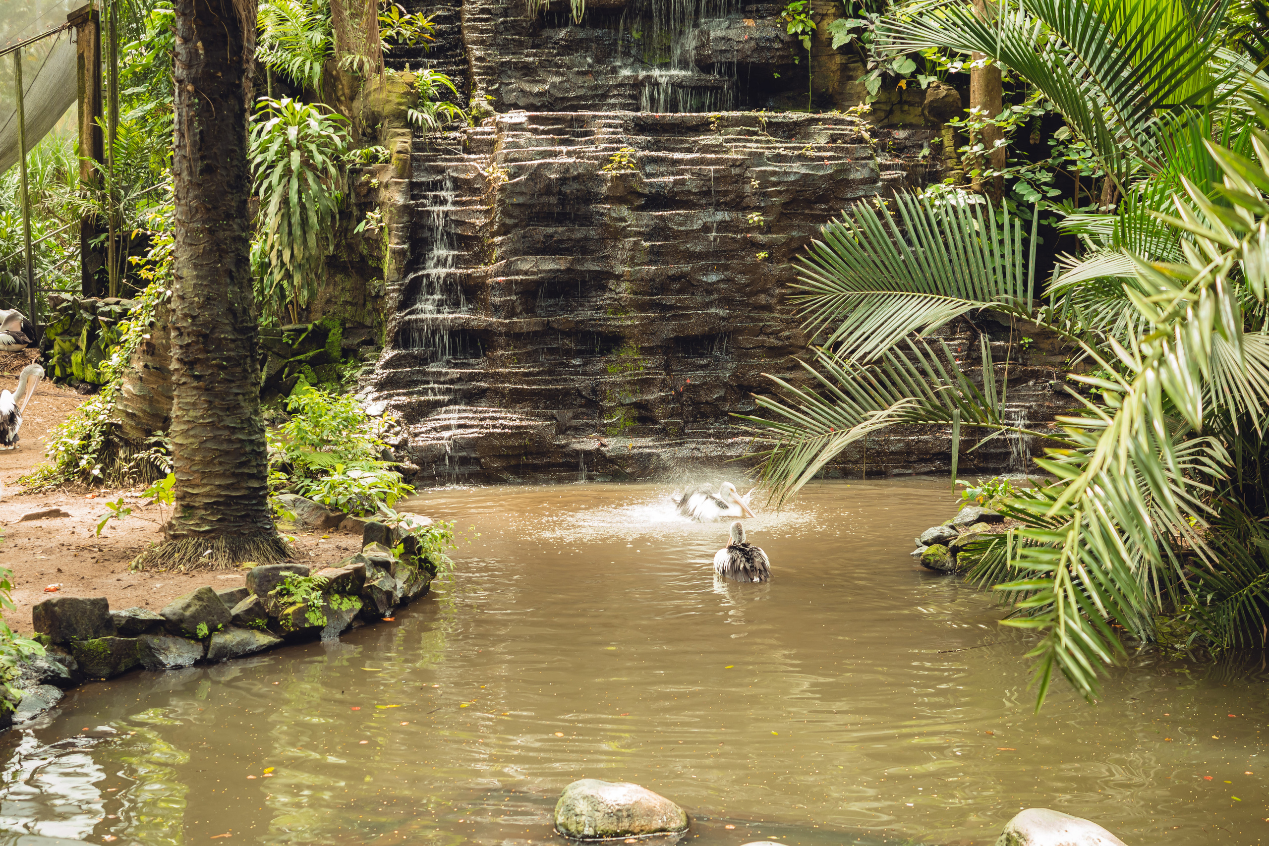 Бали. Фотографирую для себя, своей семьи и друзей!