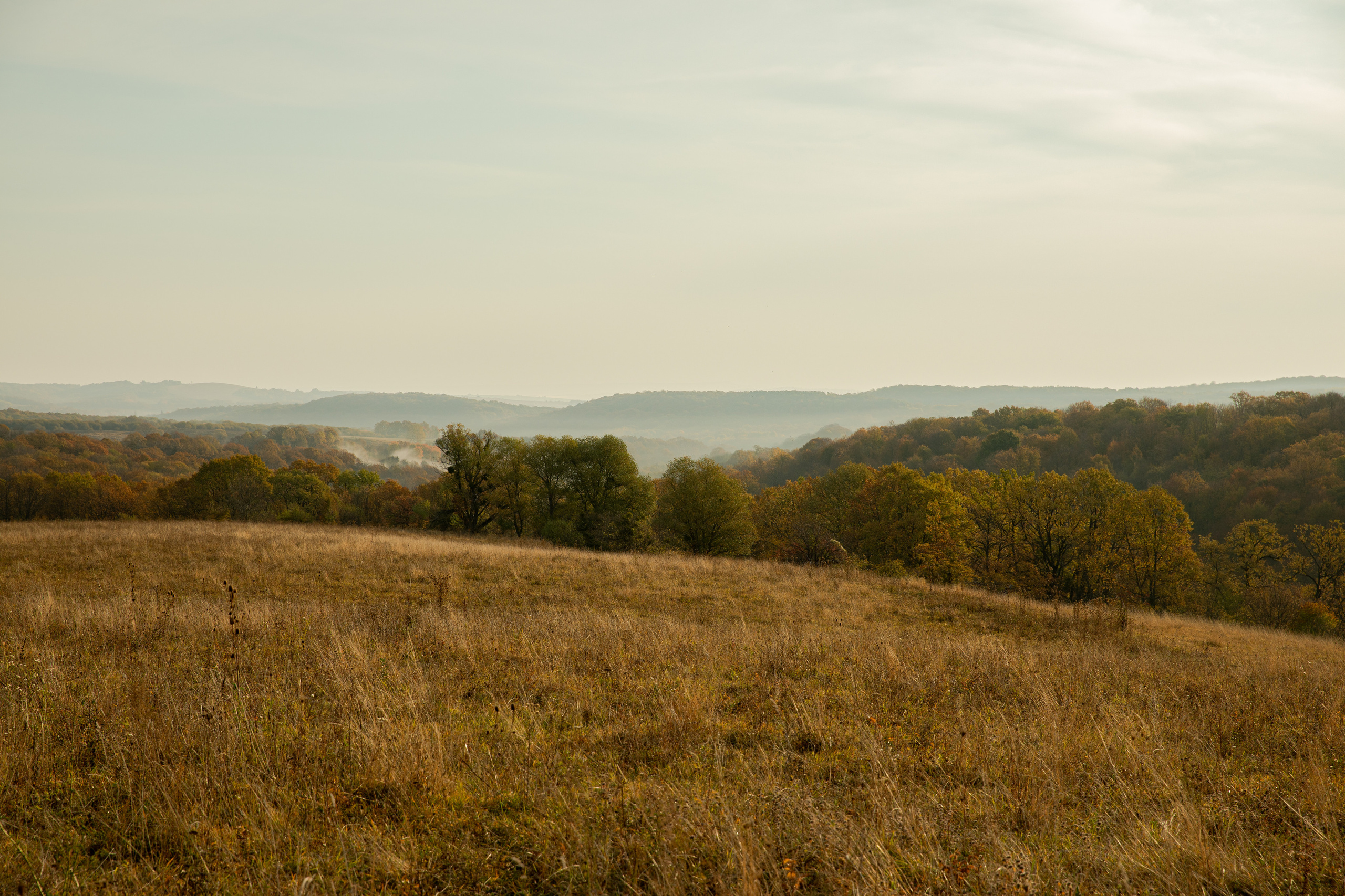 Северный Кавказ Волок. Фотографирую для себя, своей семьи и друзей!