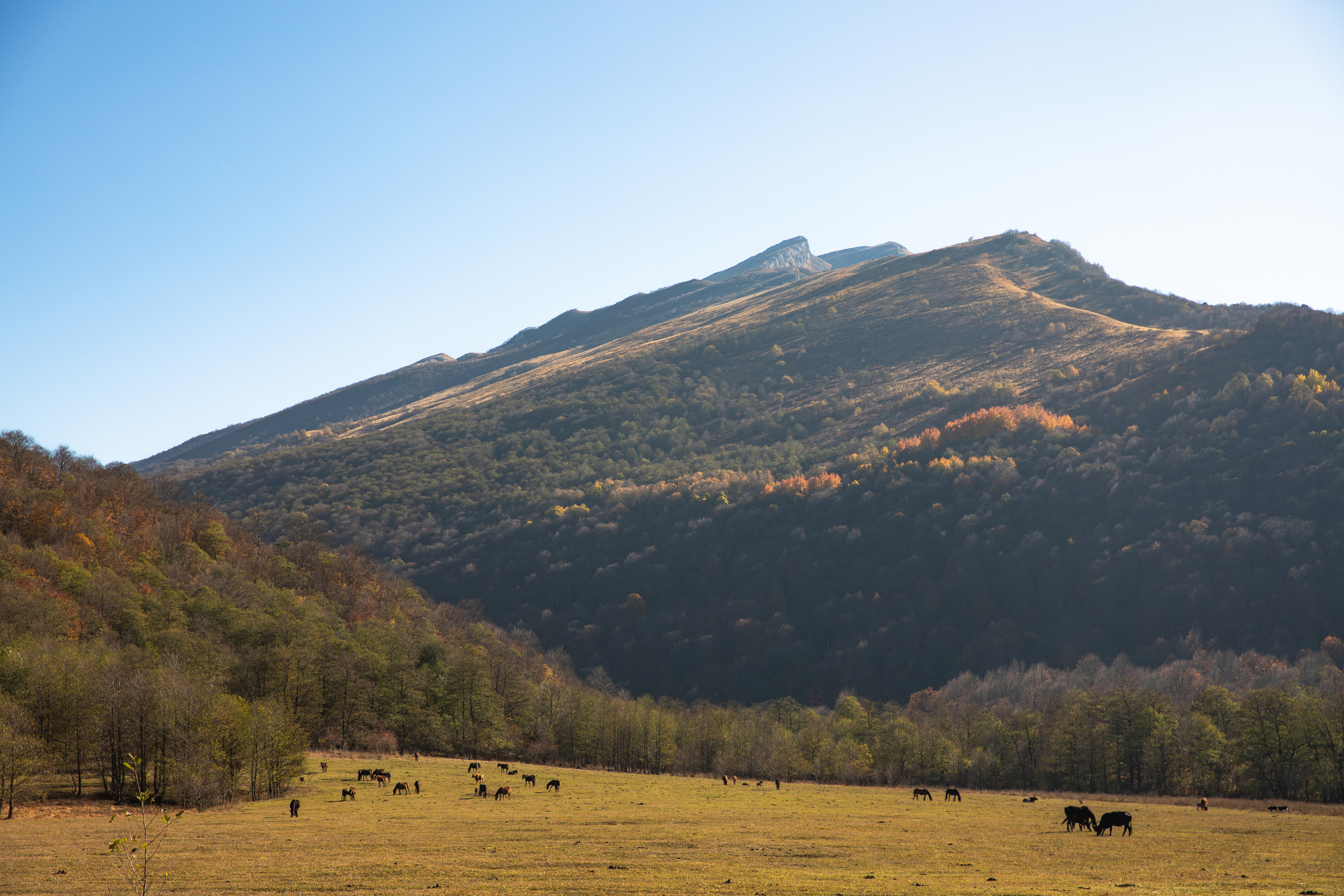 Северный Кавказ Волок. Фотографирую для себя, своей семьи и друзей!