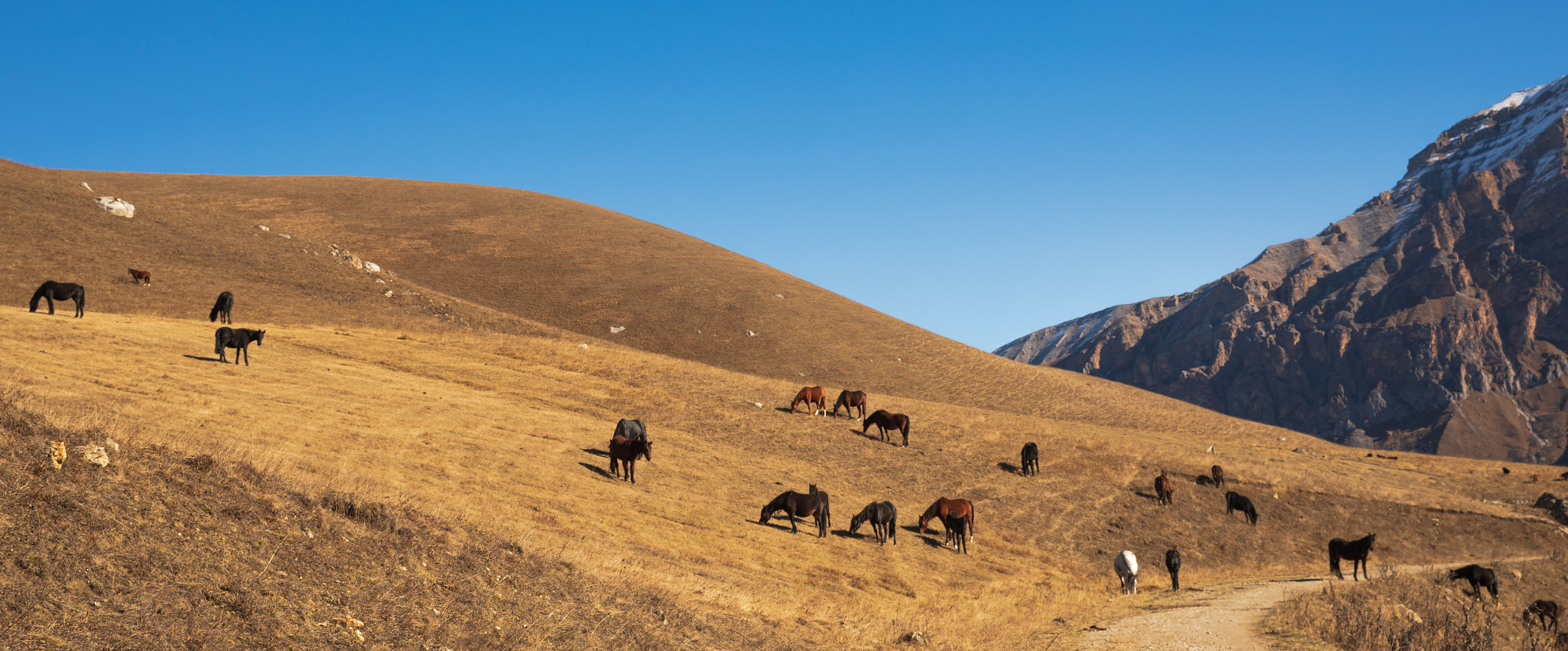Северный Кавказ Волок. Фотографирую для себя, своей семьи и друзей!