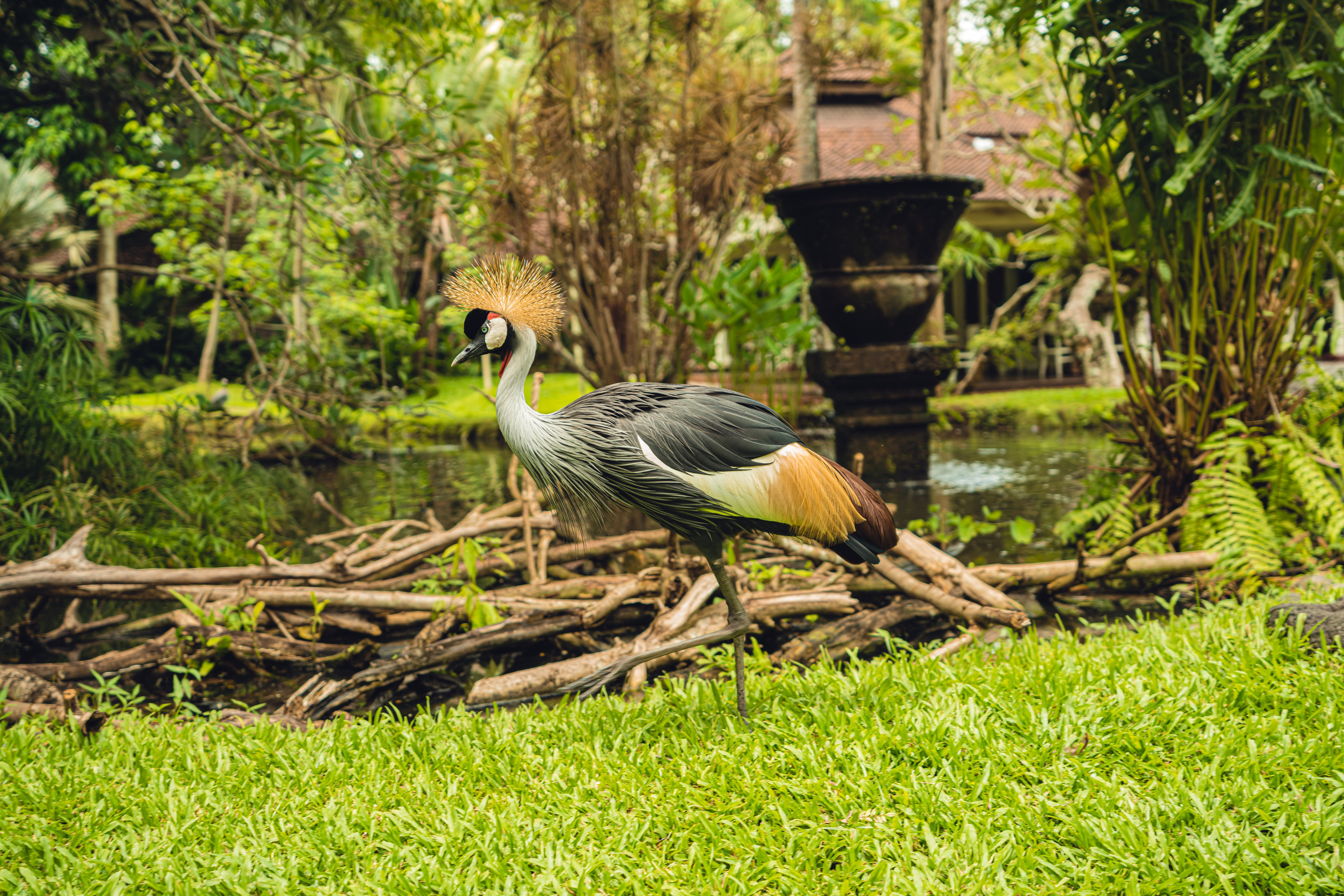 Бали. Фотографирую для себя, своей семьи и друзей!