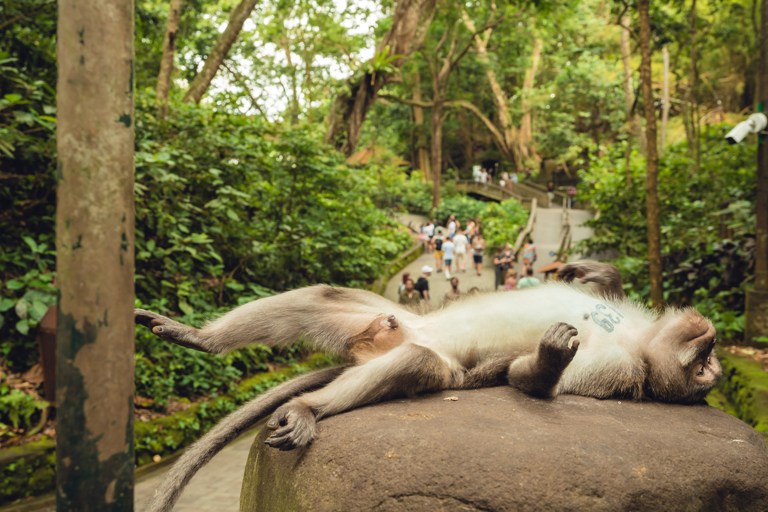 Бали. Фотографирую для себя, своей семьи и друзей!