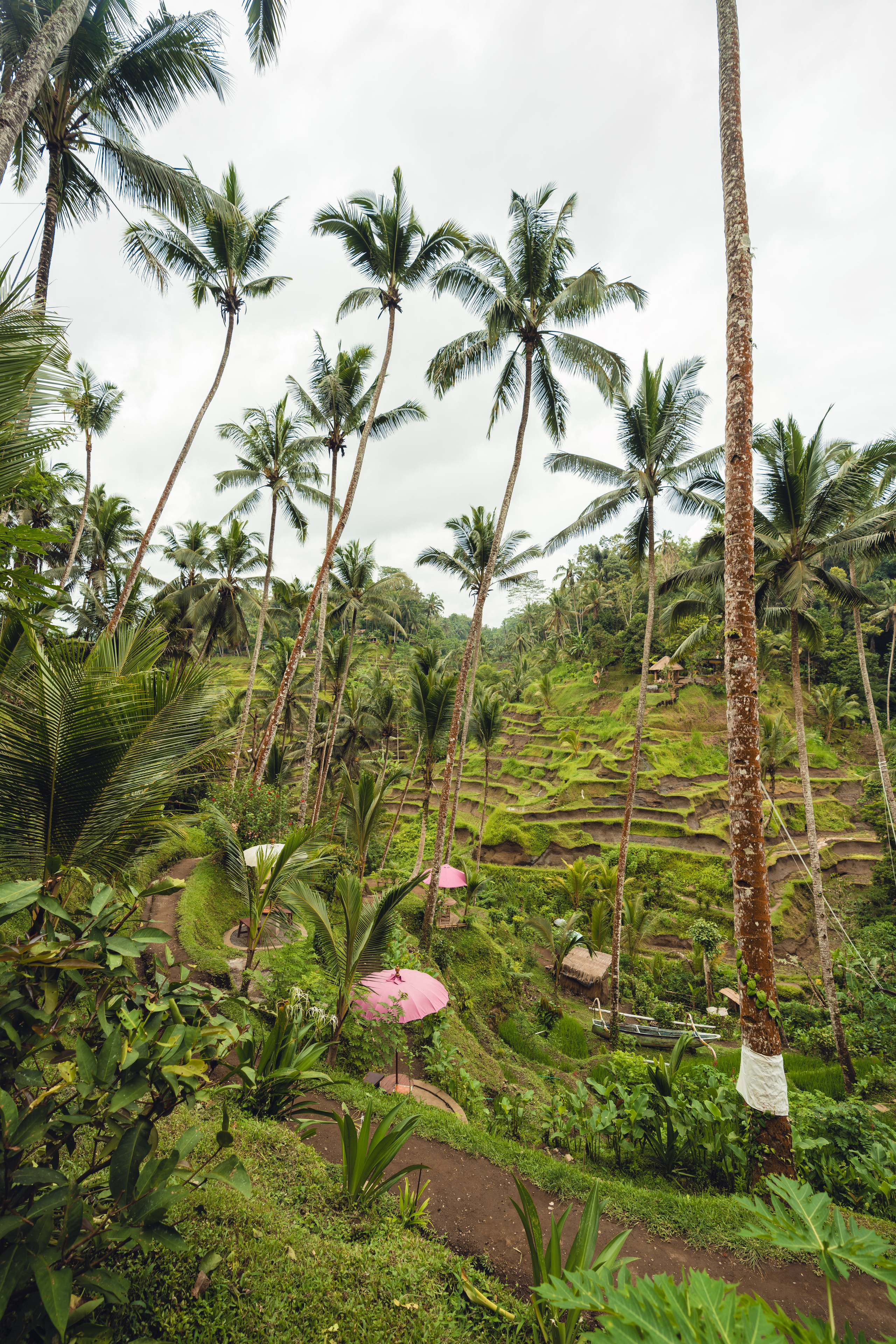 Бали. Фотографирую для себя, своей семьи и друзей!