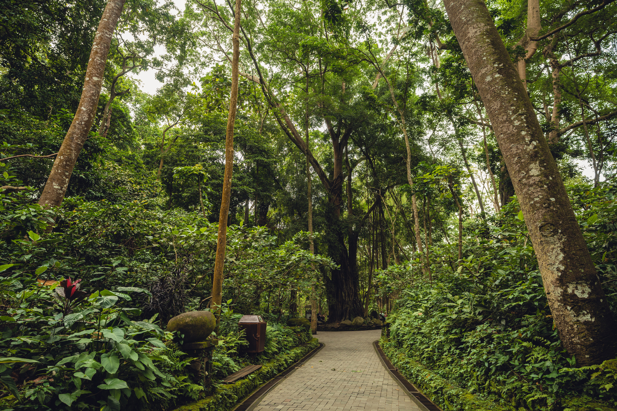 Бали. Фотографирую для себя, своей семьи и друзей!