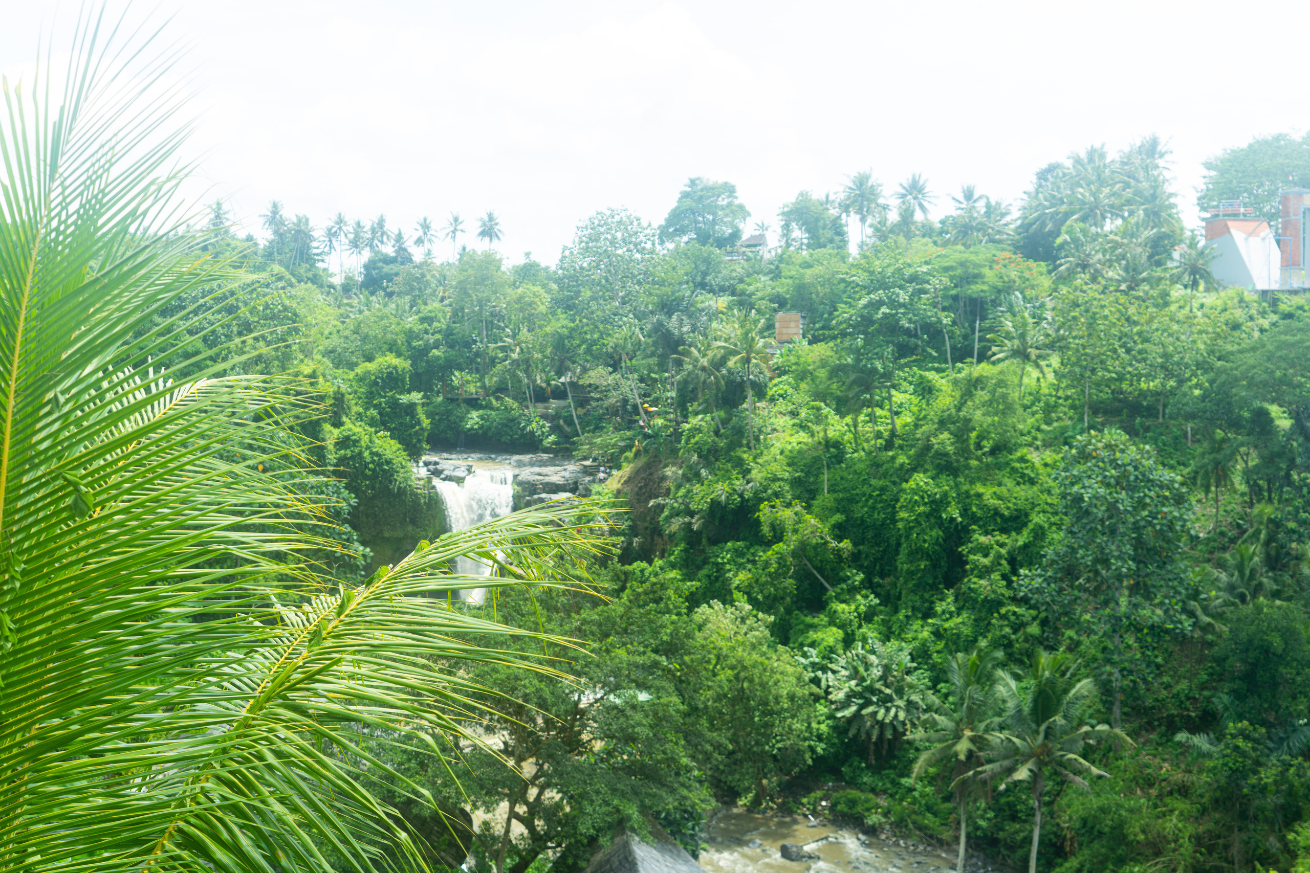 Бали. Фотографирую для себя, своей семьи и друзей!