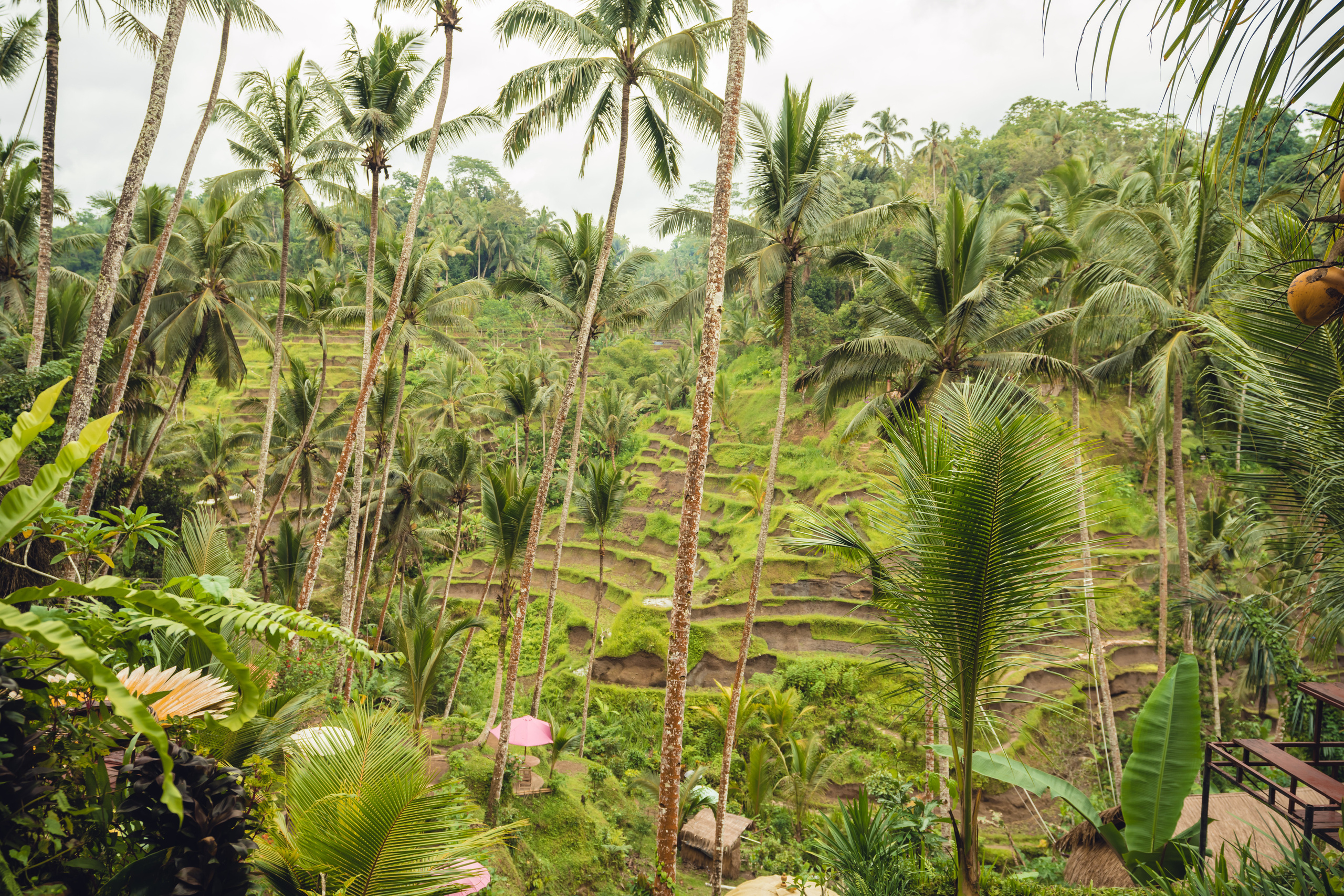 Бали. Фотографирую для себя, своей семьи и друзей!