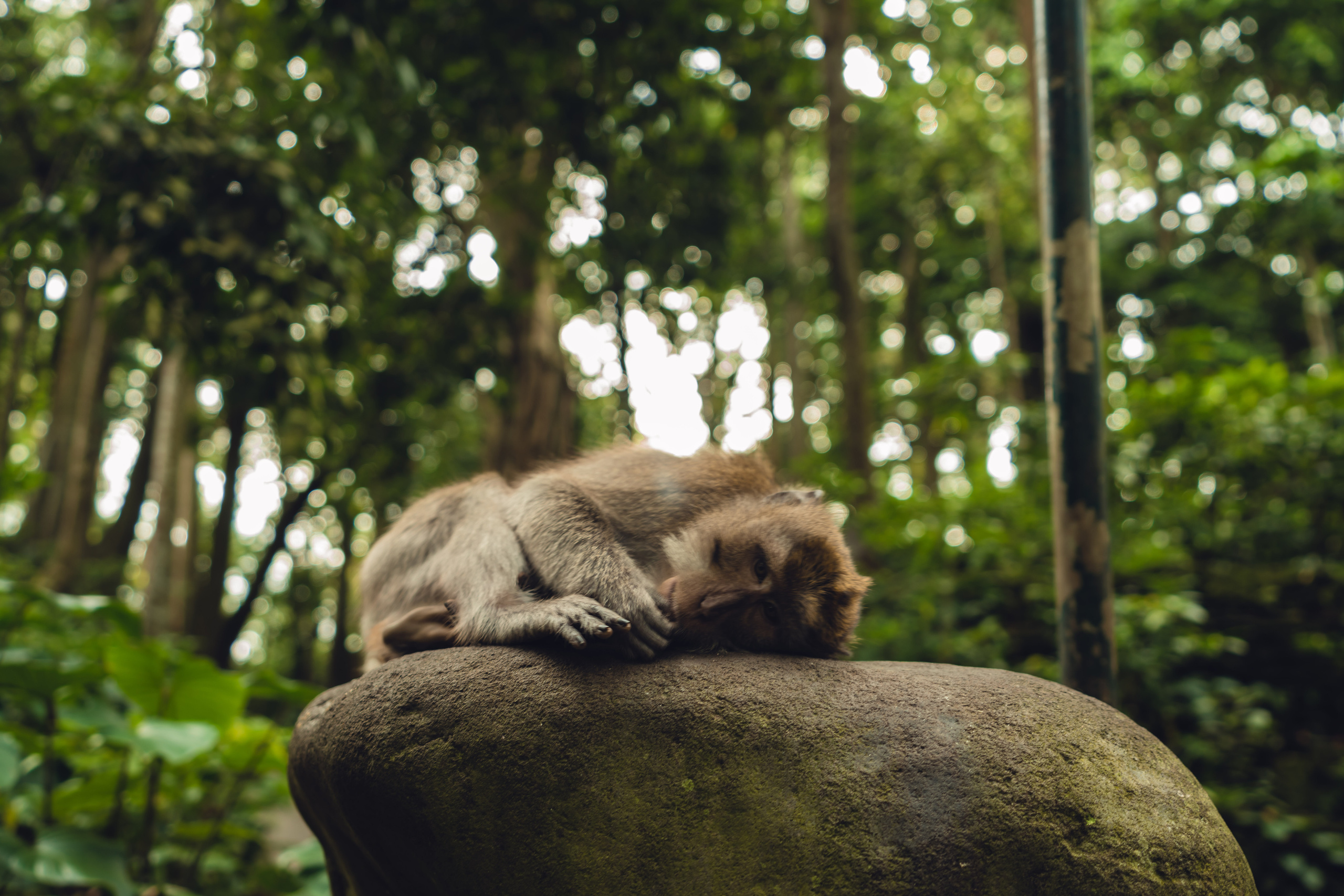 Бали. Фотографирую для себя, своей семьи и друзей!