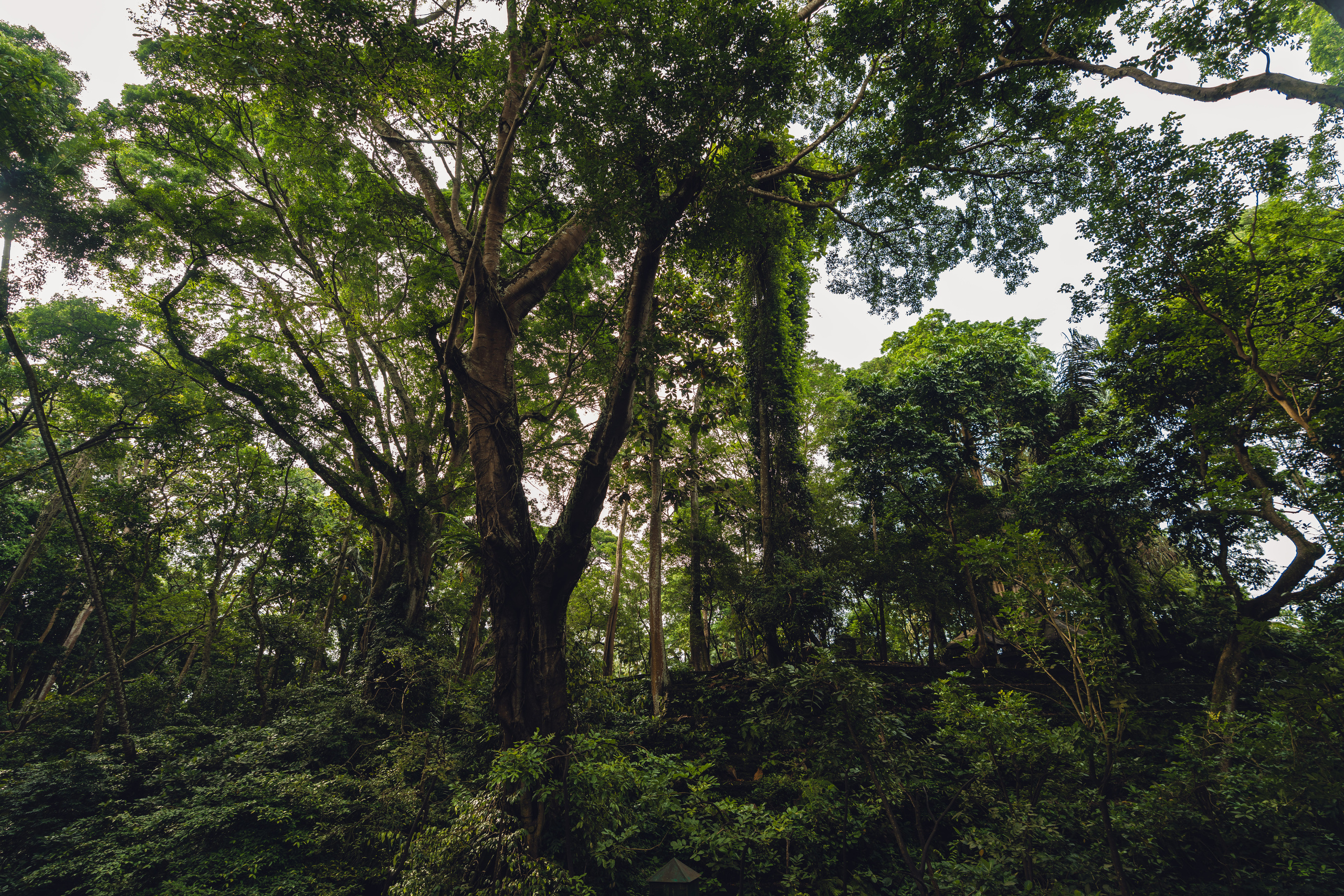 Бали. Фотографирую для себя, своей семьи и друзей!