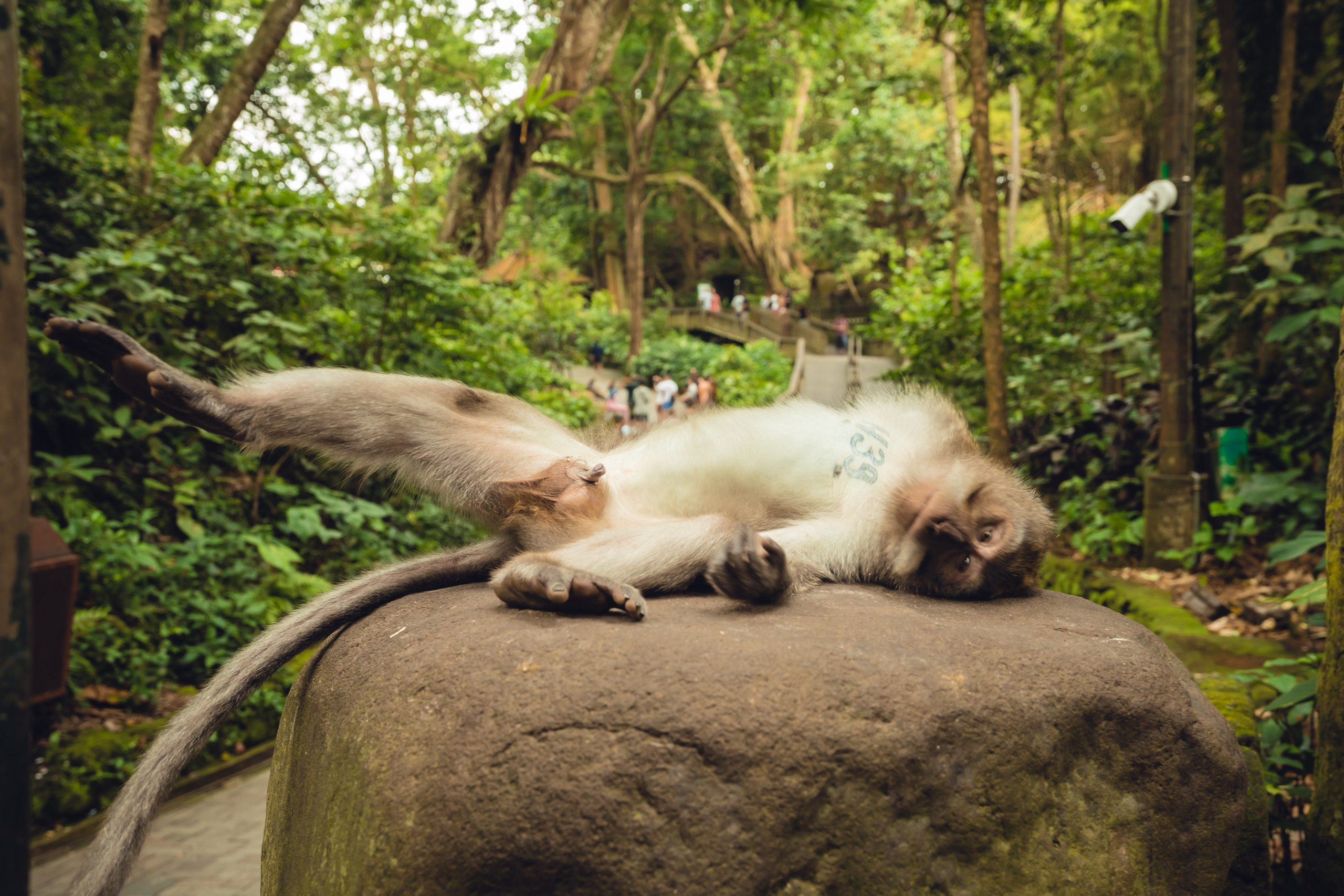 Бали. Фотографирую для себя, своей семьи и друзей!