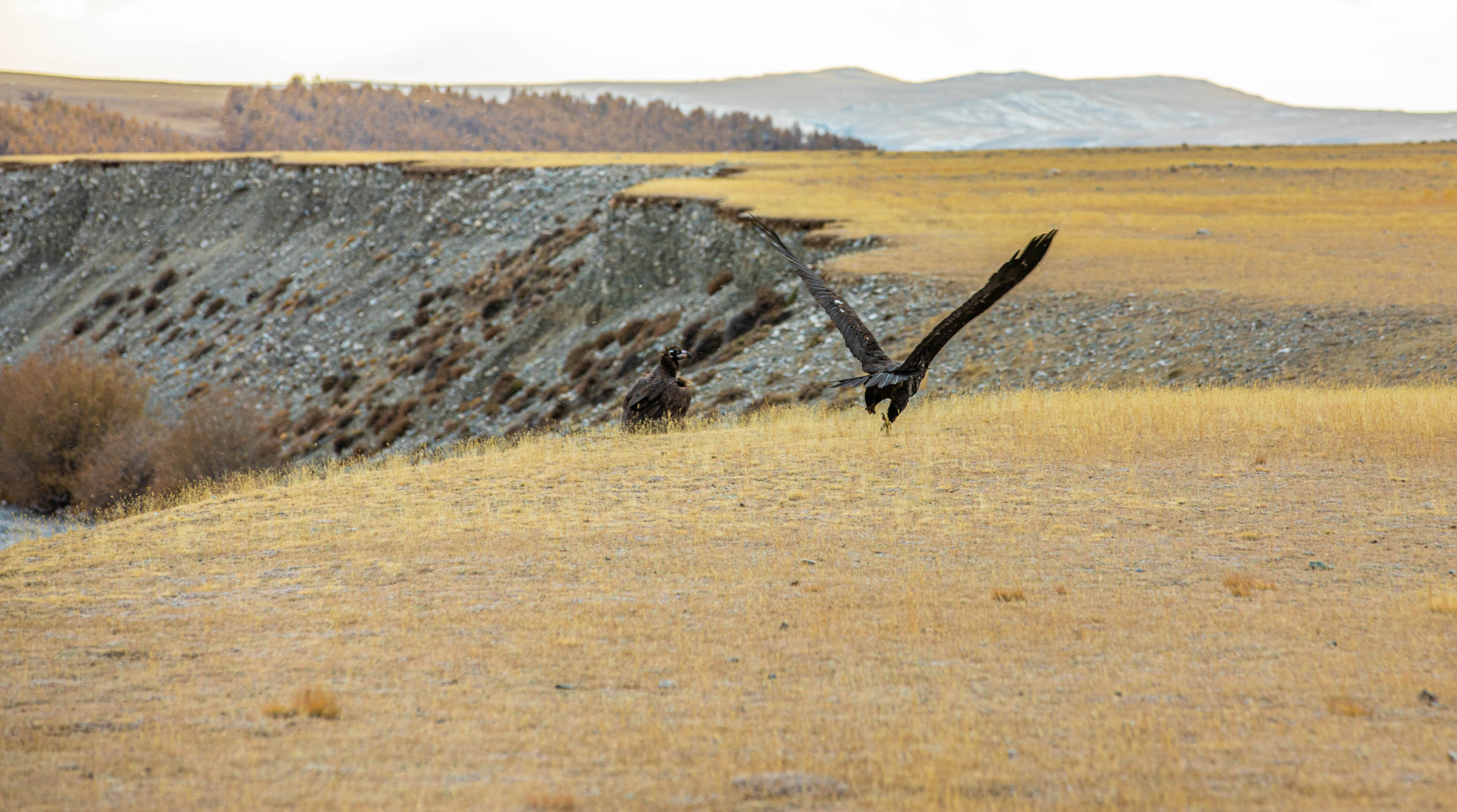Алтай. Фотографирую для себя, своей семьи и друзей!