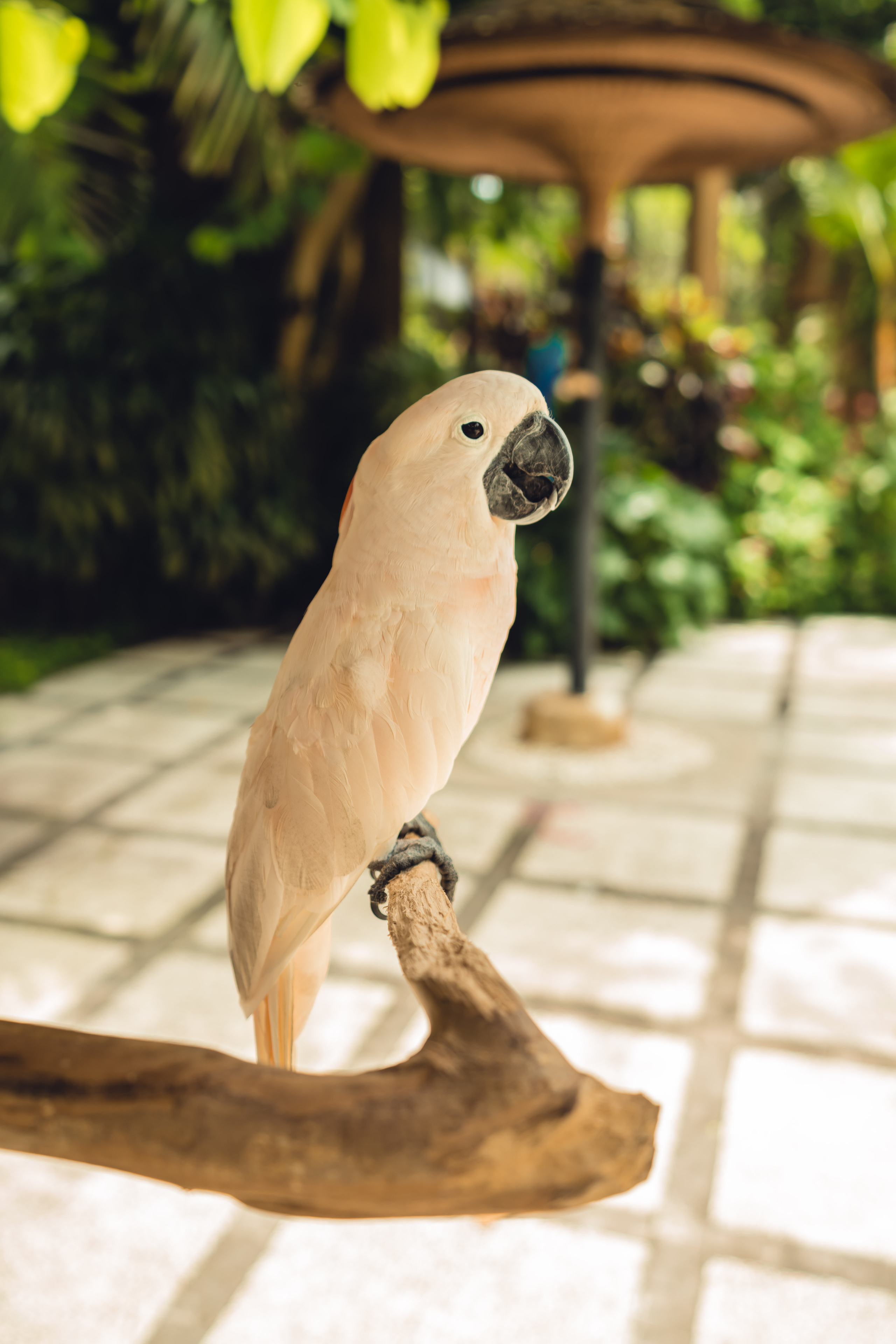 Бали. Фотографирую для себя, своей семьи и друзей!